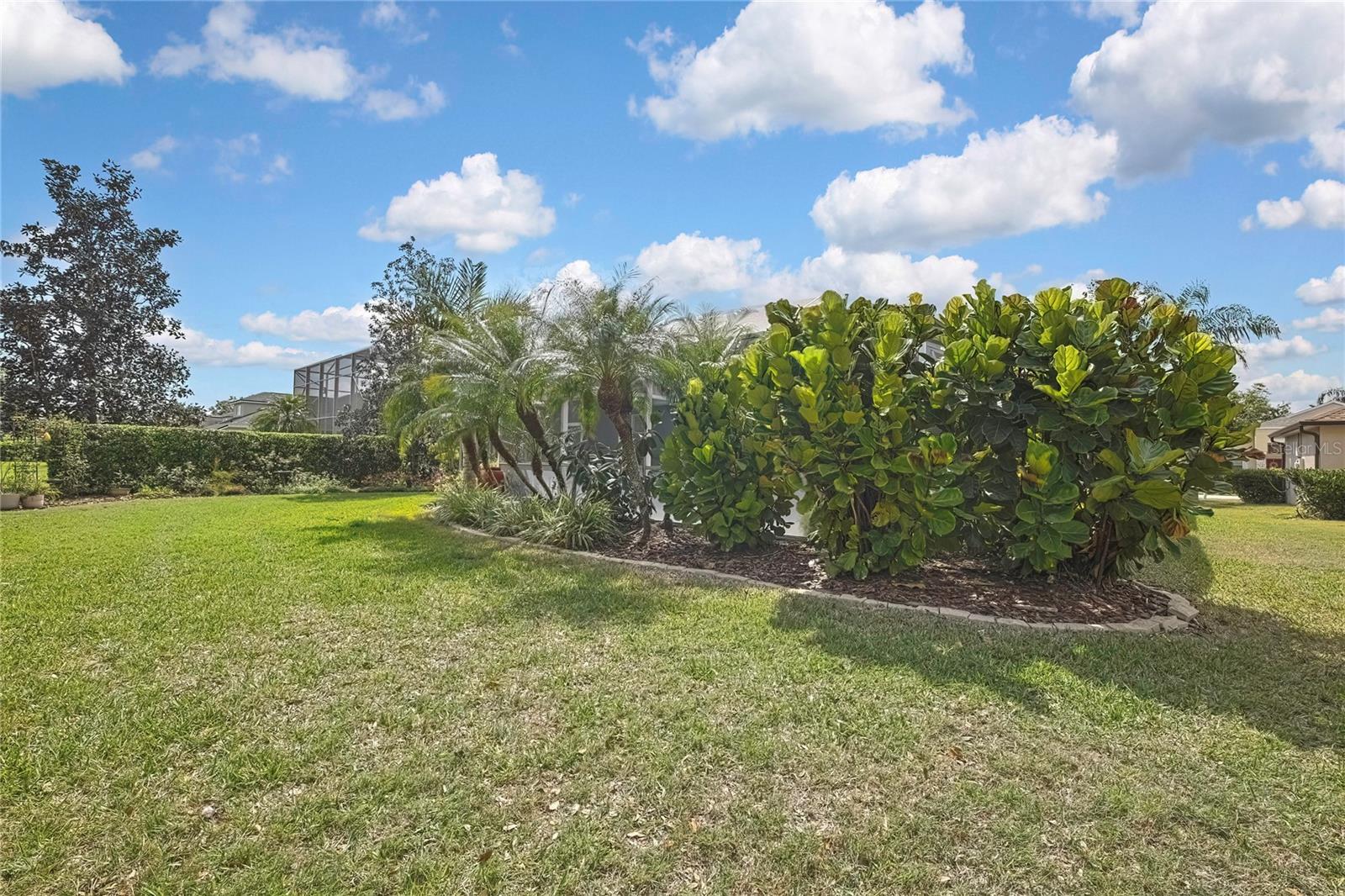 7338 WILD OAK LN, LAND O LAKES, FL, 34637