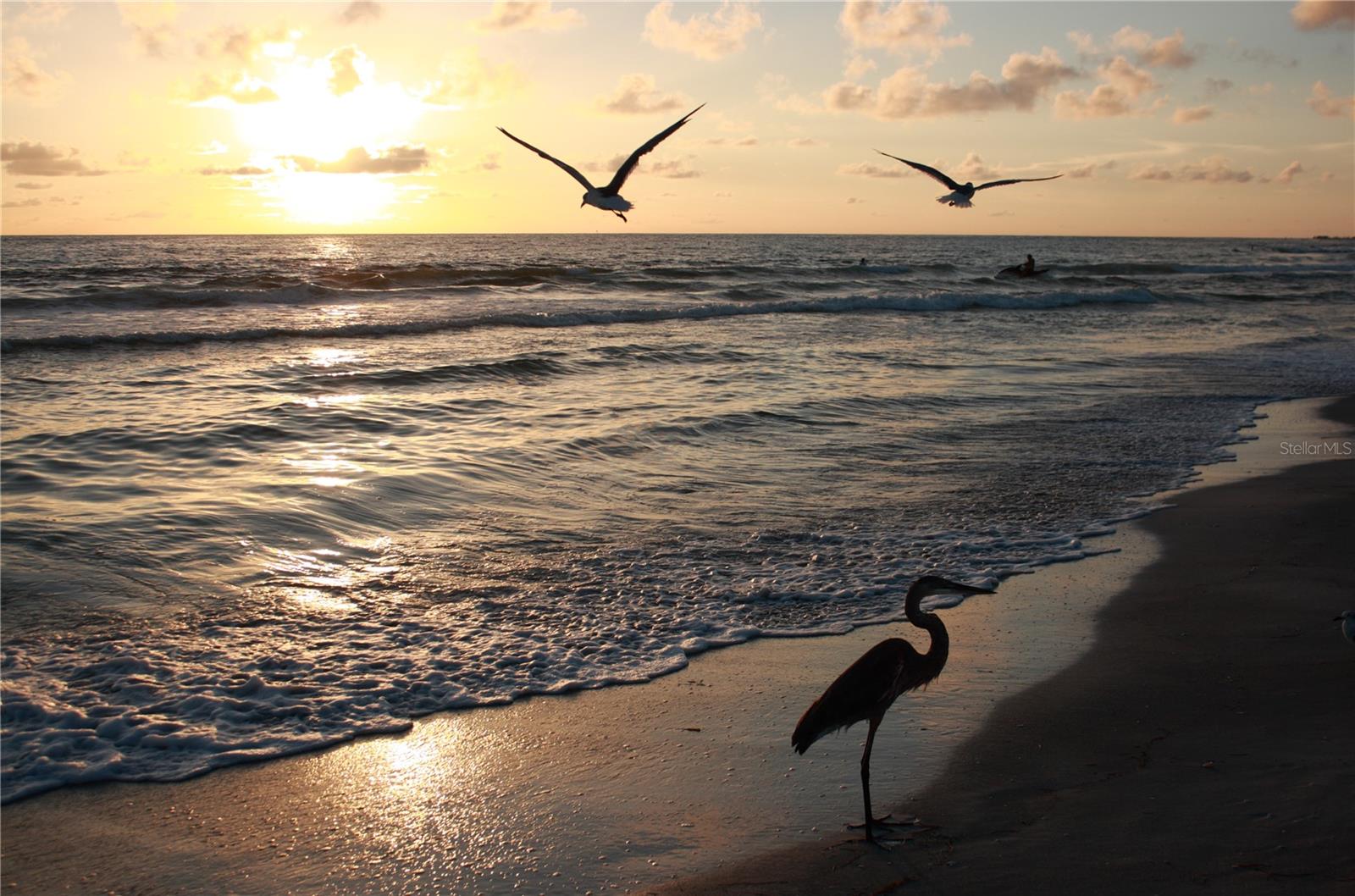 1803 NEW BEDFORD DR, SUN CITY CENTER, FL, 33573