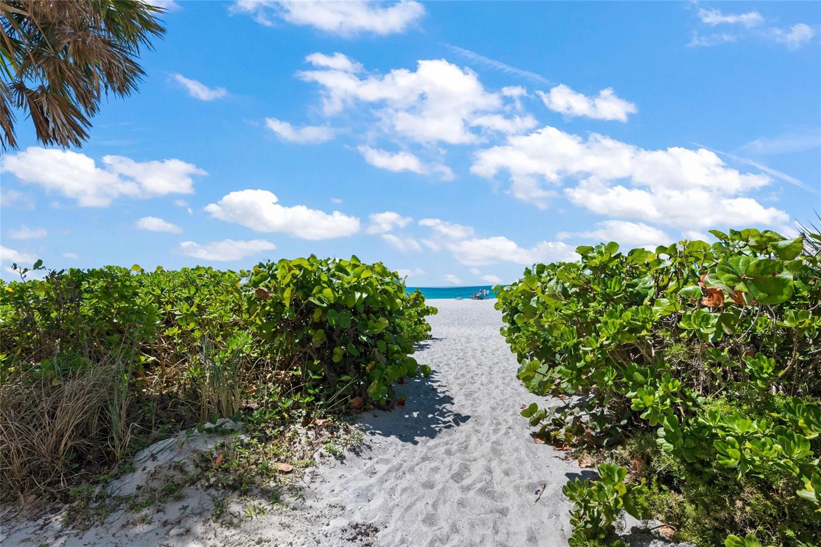 1581 GULF OF MEXICO DR #308, LONGBOAT KEY, FL, 34228