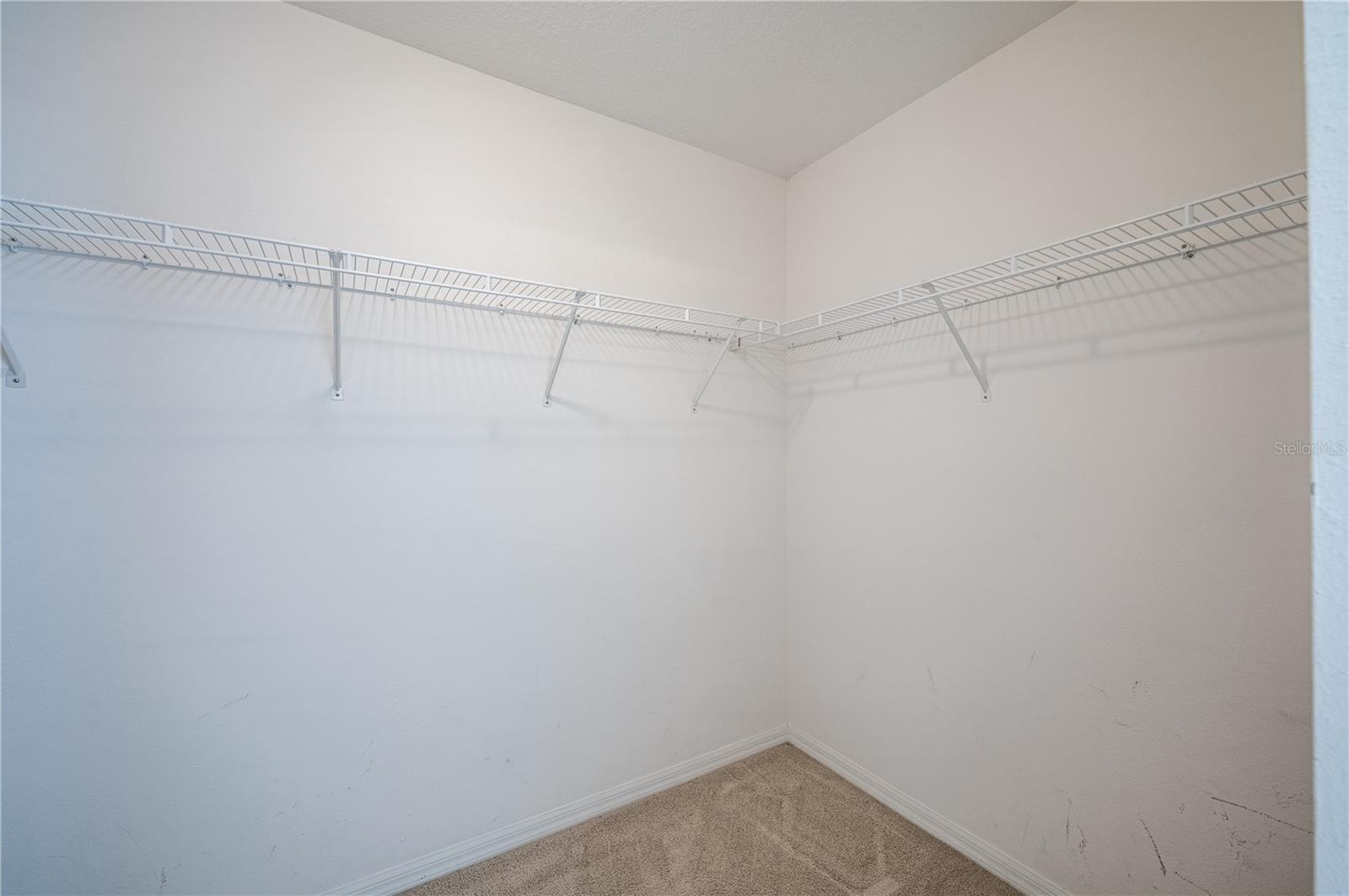 31028 BACLAN DR, WESLEY CHAPEL, FL, 33545