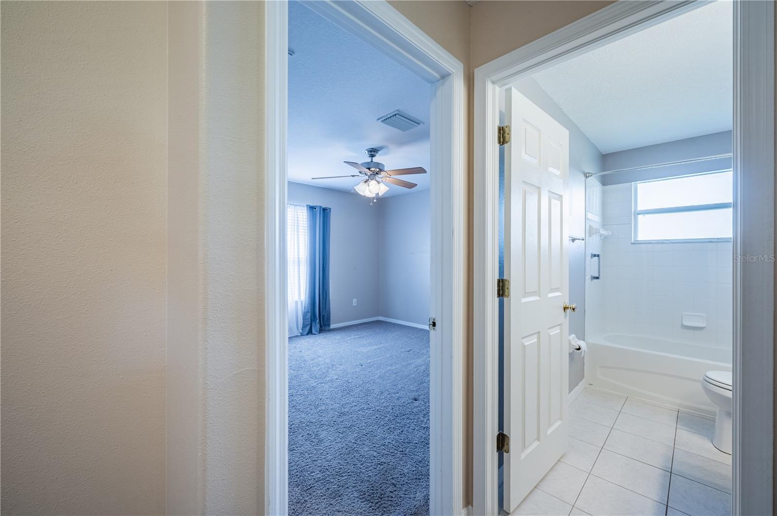 31028 BACLAN DR, WESLEY CHAPEL, FL, 33545