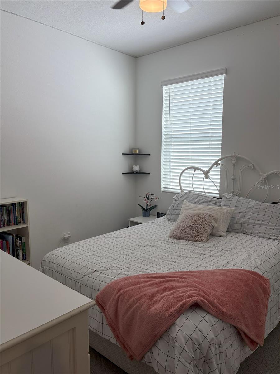 11833 CLARE HILL AVE, RIVERVIEW, FL, 33579