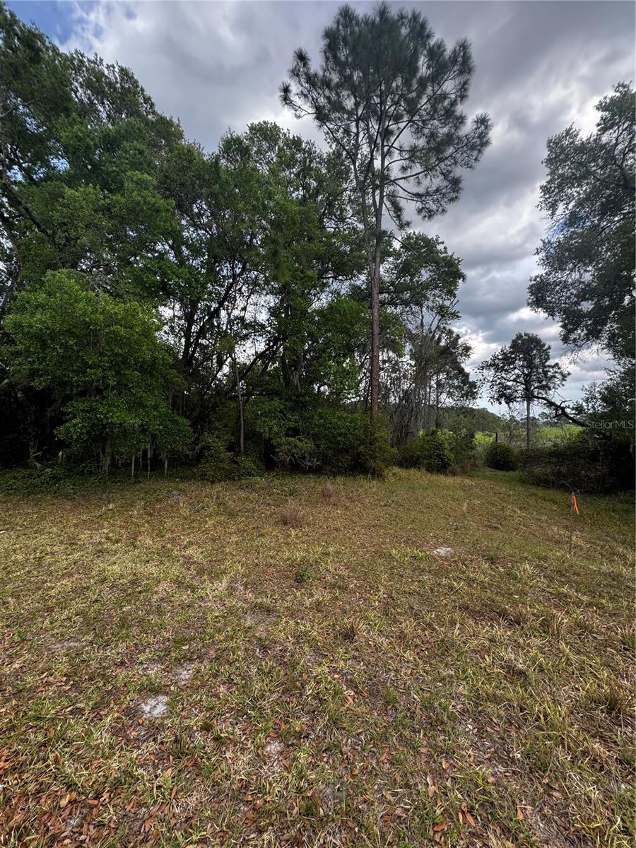 3009 PARMA DR, DELTONA, FL, 32738
