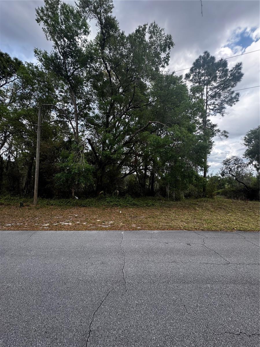 3009 PARMA DR, DELTONA, FL, 32738