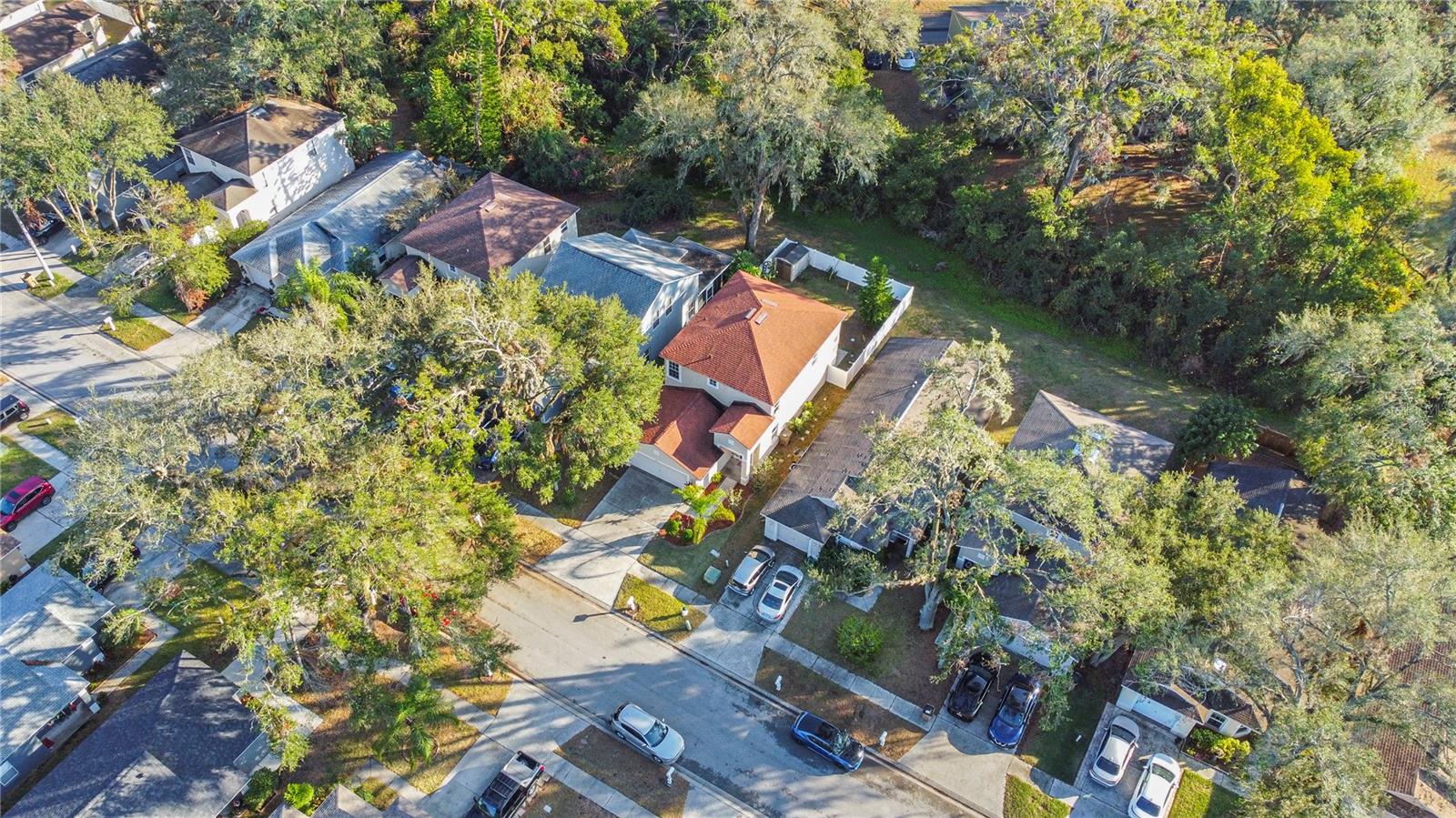 8715 MORRISON OAKS CT, TEMPLE TERRACE, FL, 33637