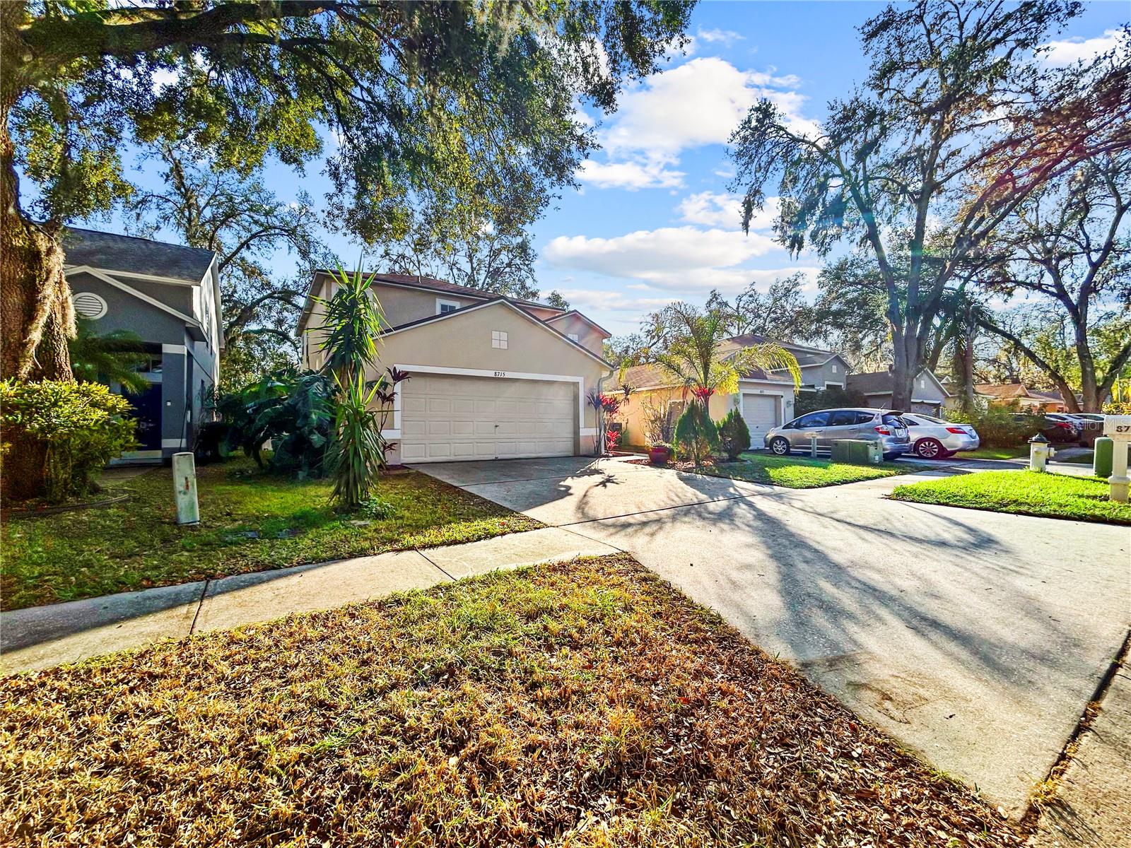 8715 MORRISON OAKS CT, TEMPLE TERRACE, FL, 33637