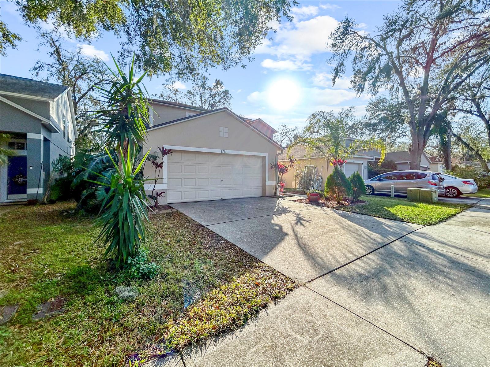 8715 MORRISON OAKS CT, TEMPLE TERRACE, FL, 33637
