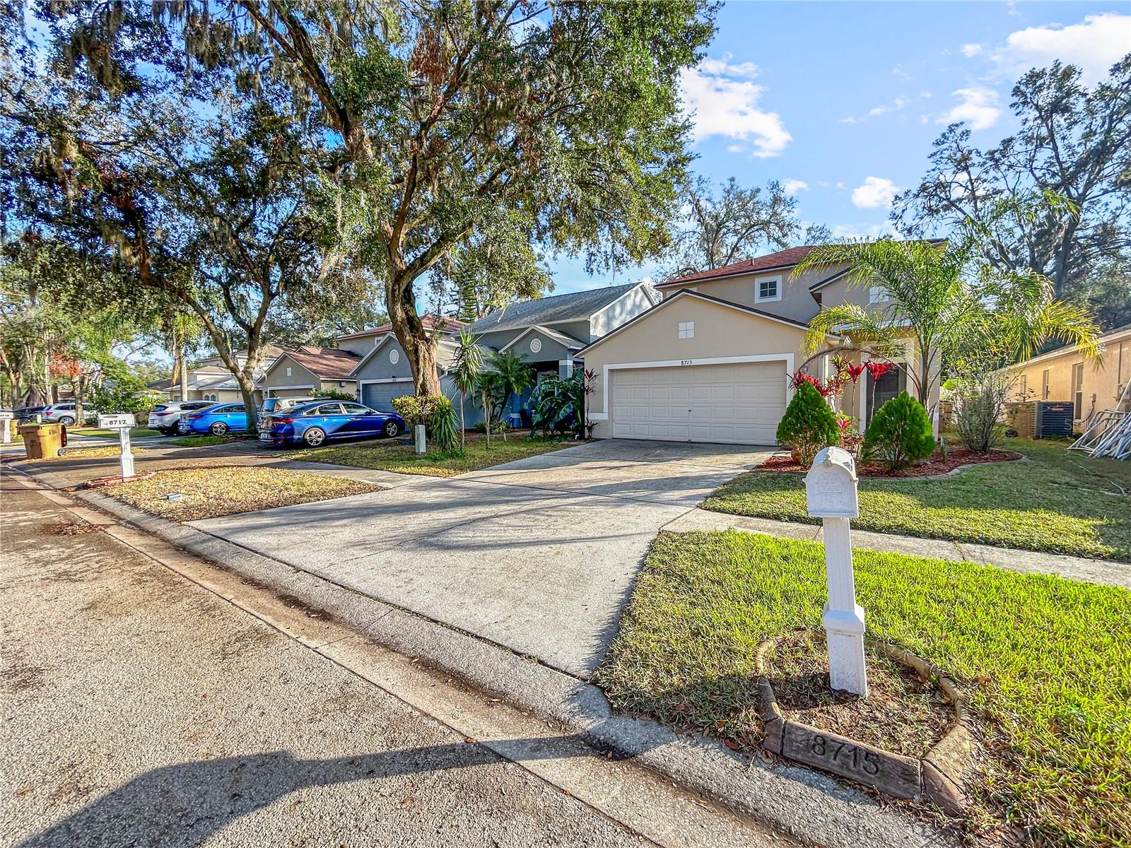 8715 MORRISON OAKS CT, TEMPLE TERRACE, FL, 33637