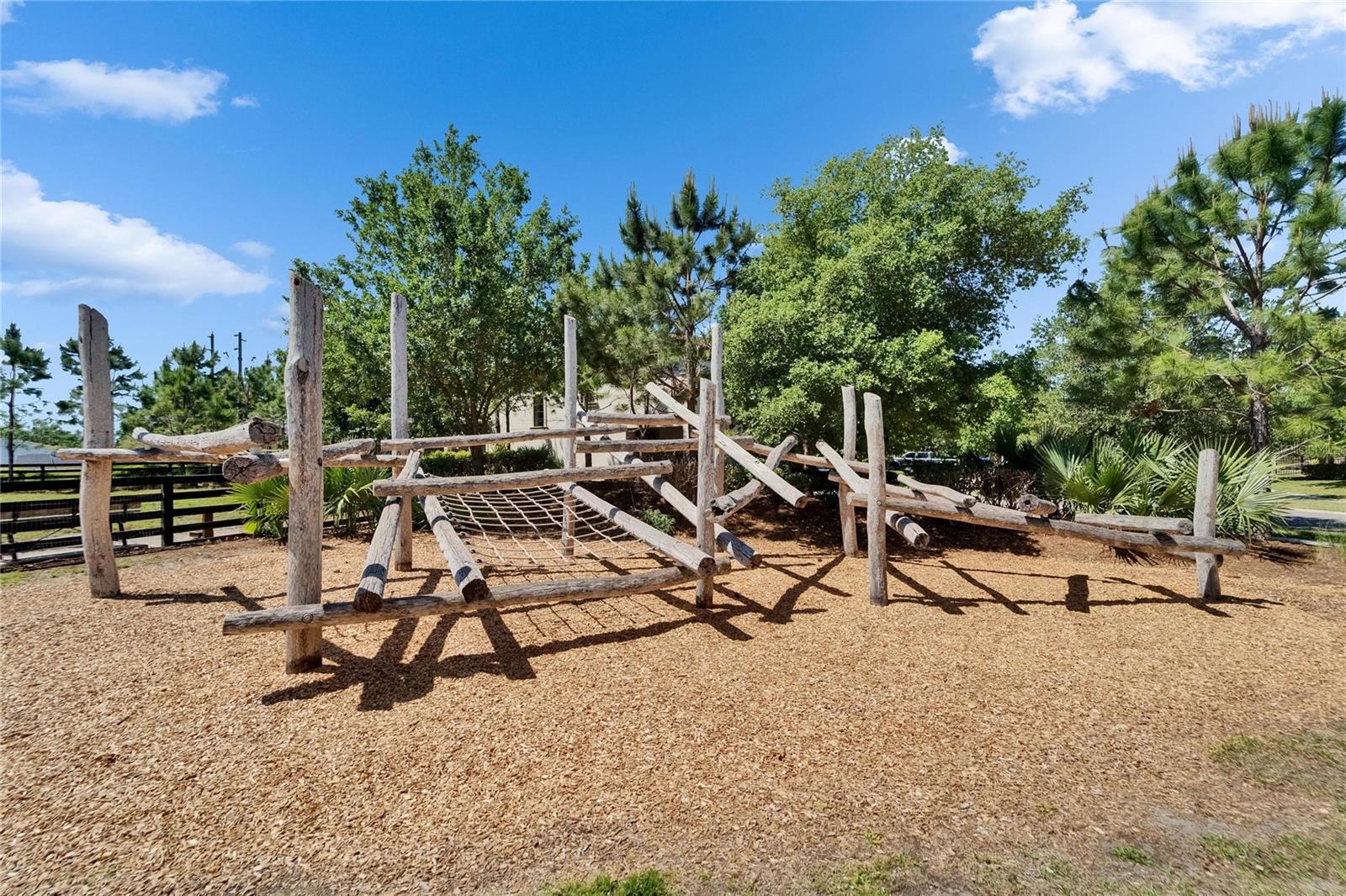 4396 NIGHT STAR TRL, ODESSA, FL, 33556