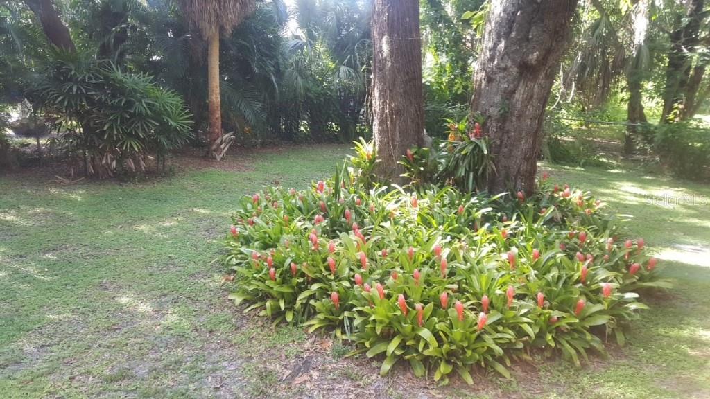 3934 BROOKSIDE DR, SARASOTA, FL, 34231