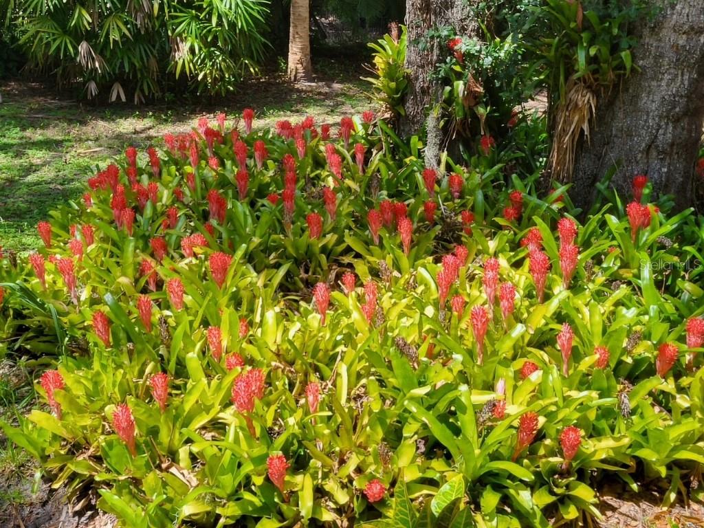 3934 BROOKSIDE DR, SARASOTA, FL, 34231