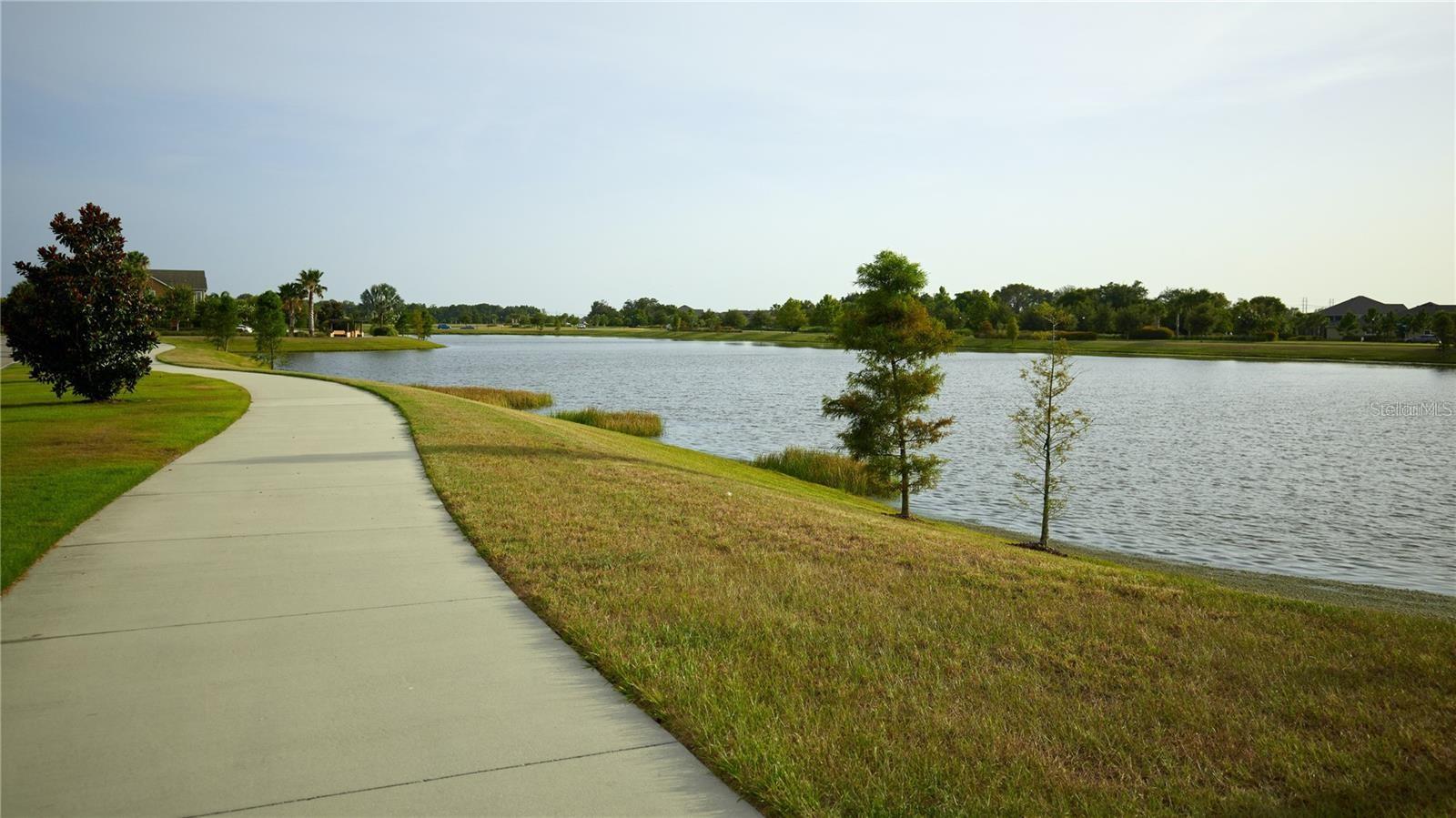 7325 PARKSHORE DR, APOLLO BEACH, FL, 33572