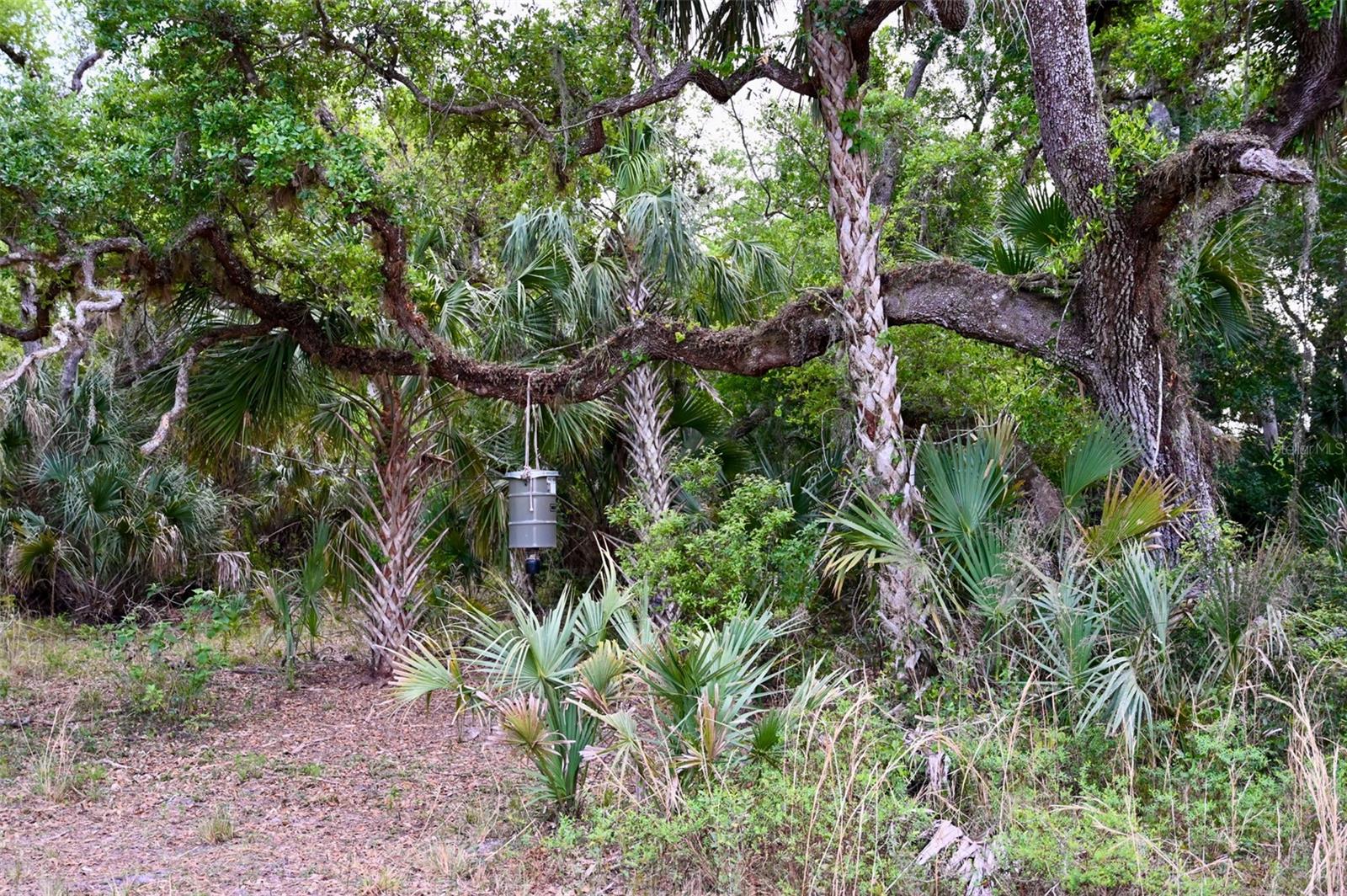 7365 SW CR-769, ARCADIA, FL, 34269