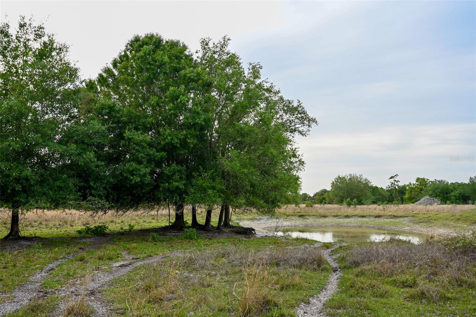 7365 SW CR-769, ARCADIA, FL, 34269