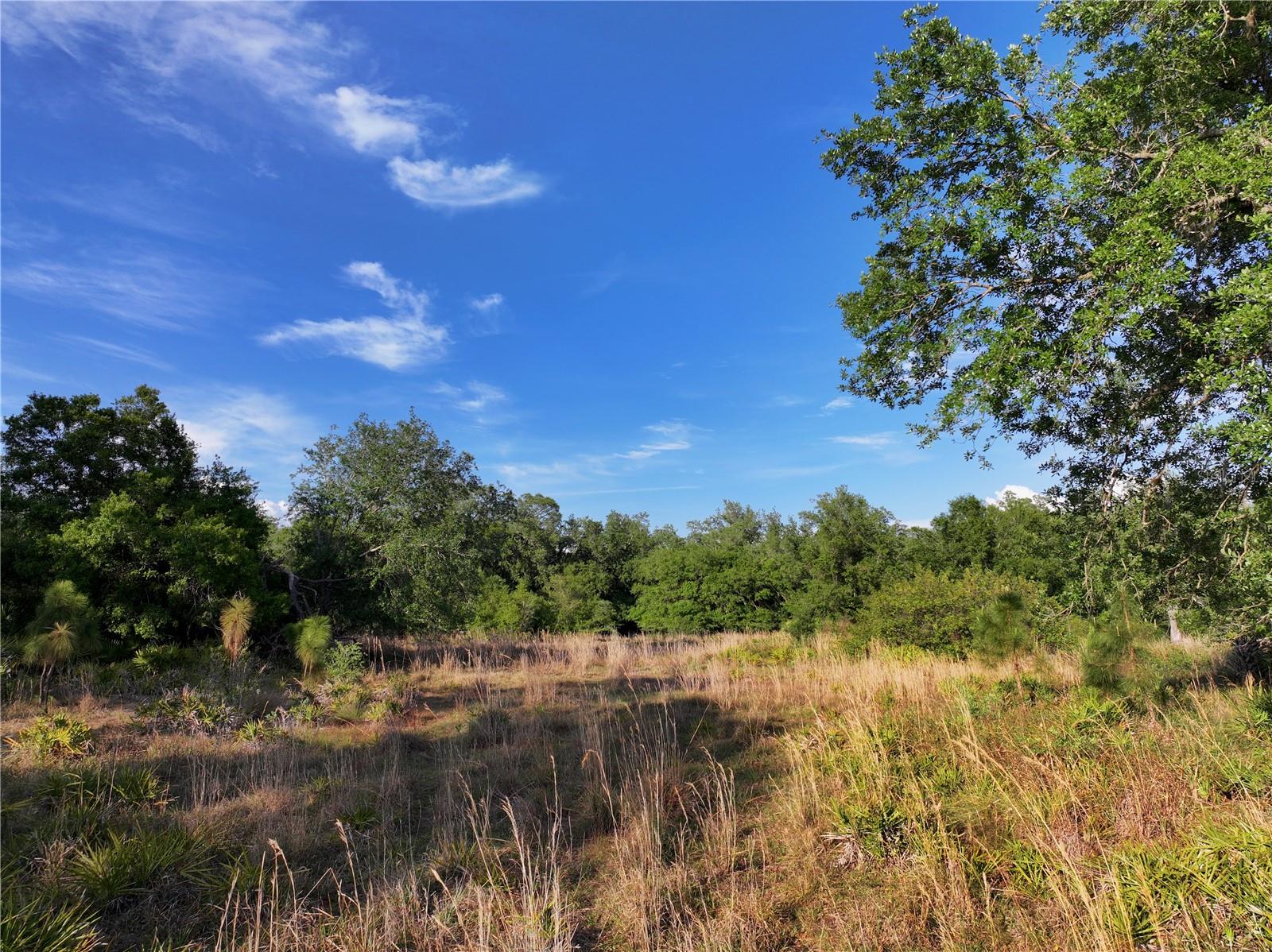 7365 SW CR-769, ARCADIA, FL, 34269