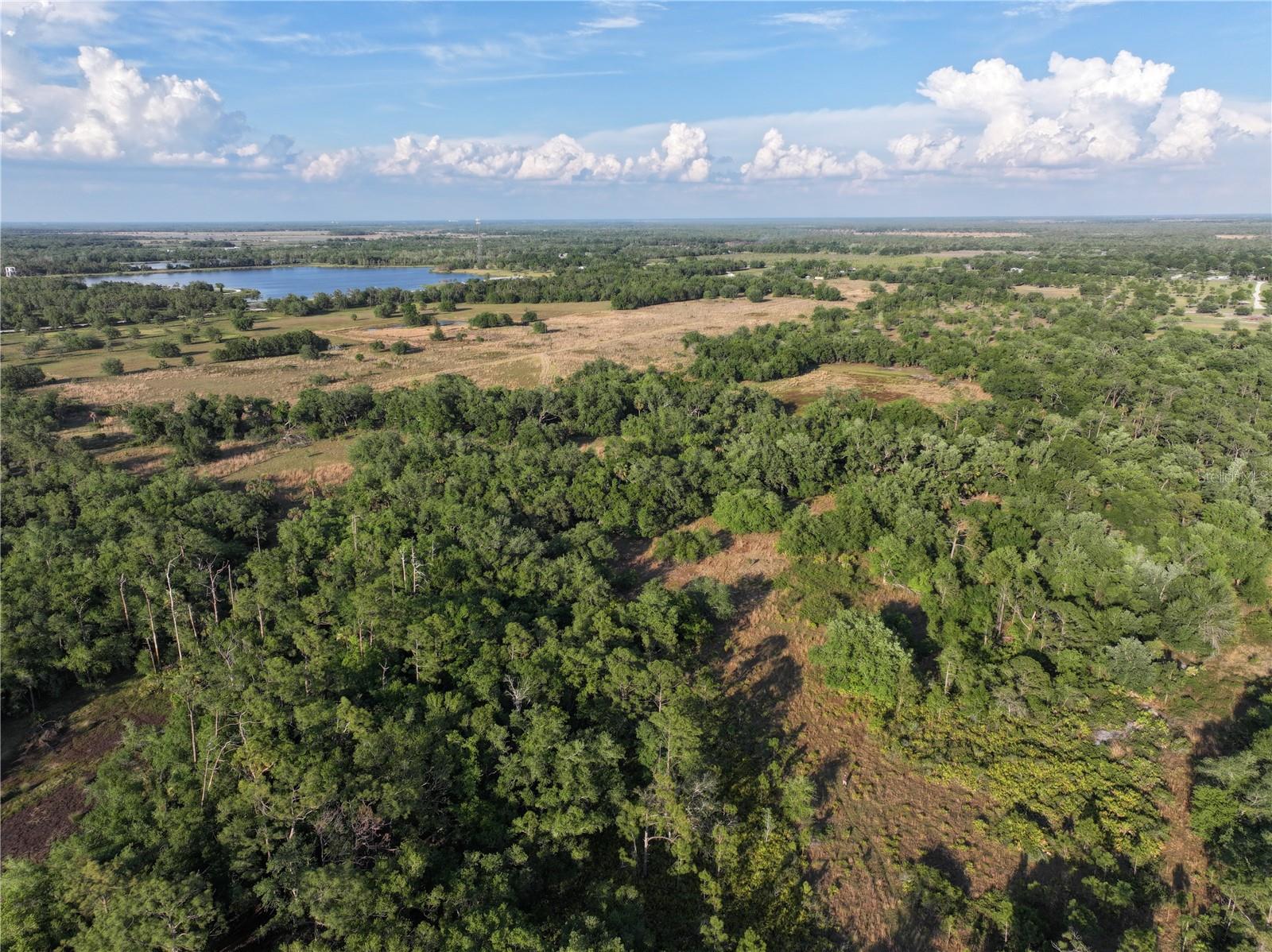 7365 SW CR-769, ARCADIA, FL, 34269