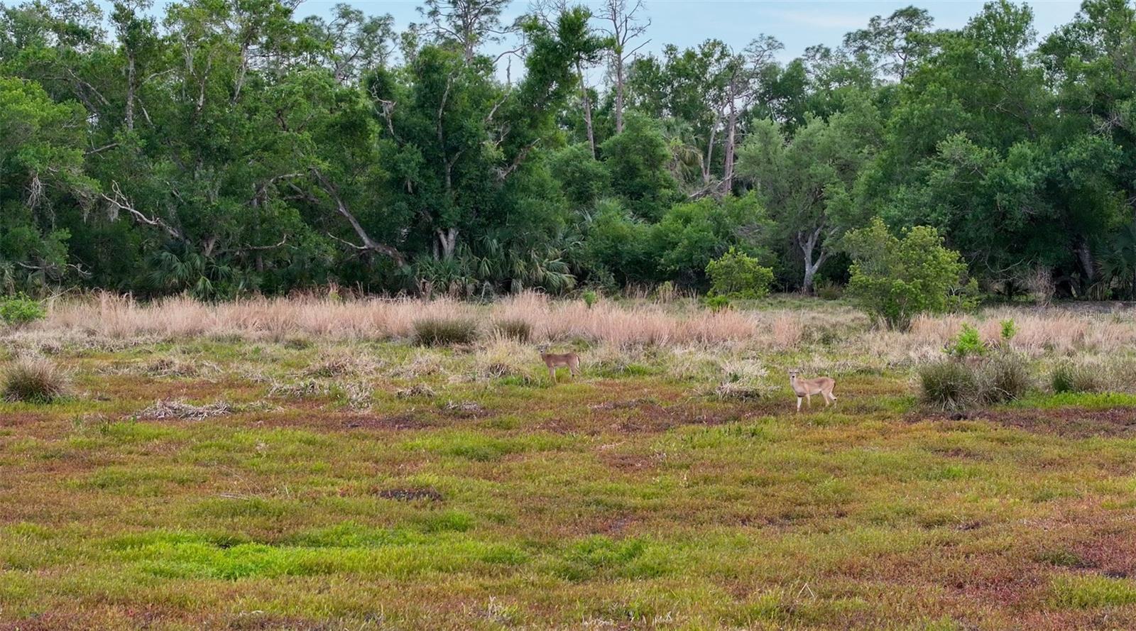 7365 SW CR-769, ARCADIA, FL, 34269