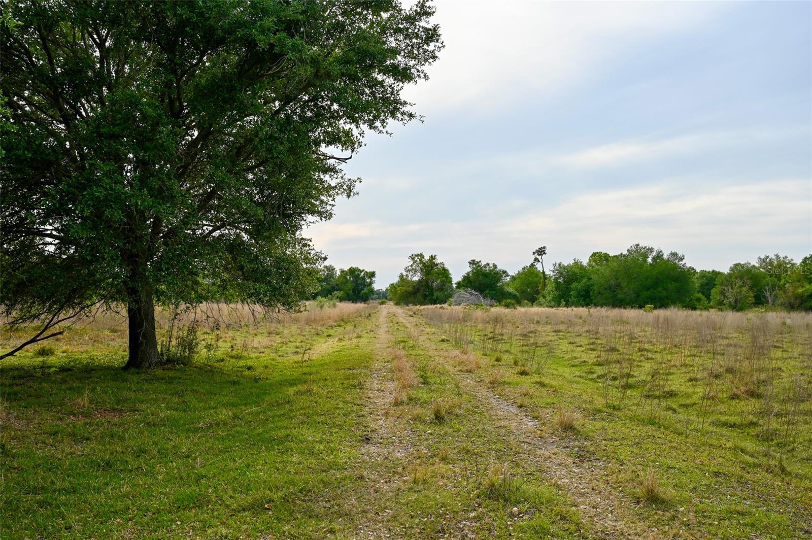 7365 SW CR-769, ARCADIA, FL, 34269