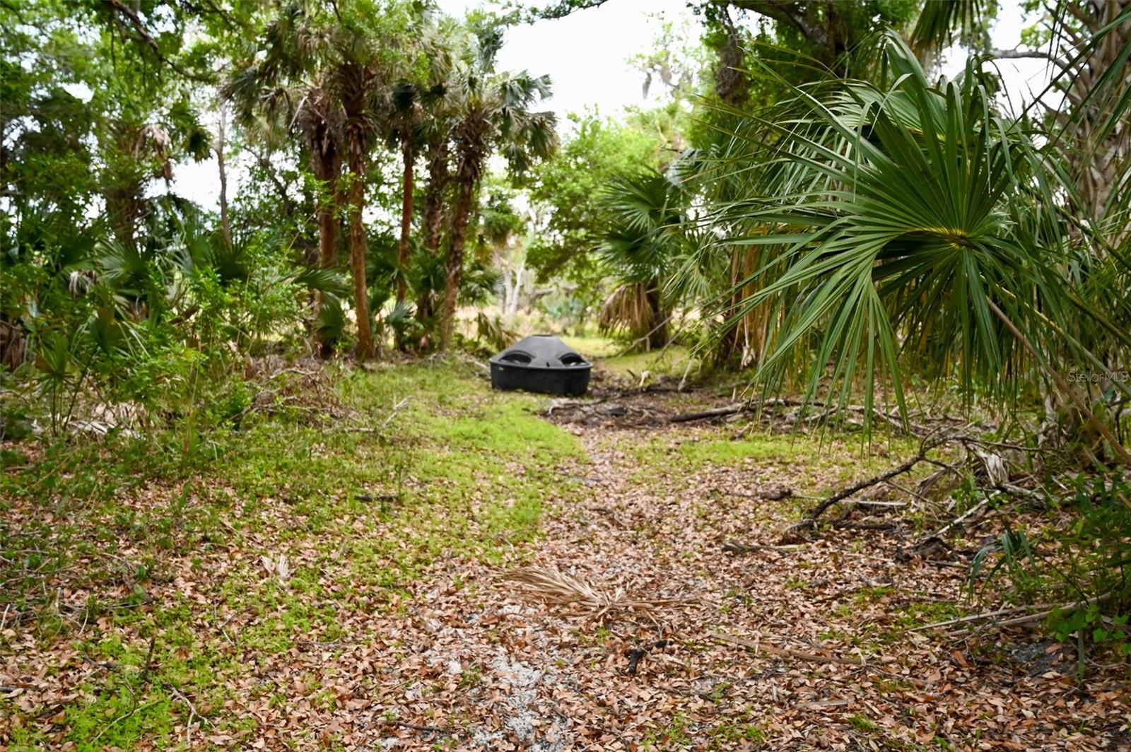 7365 SW CR-769, ARCADIA, FL, 34269