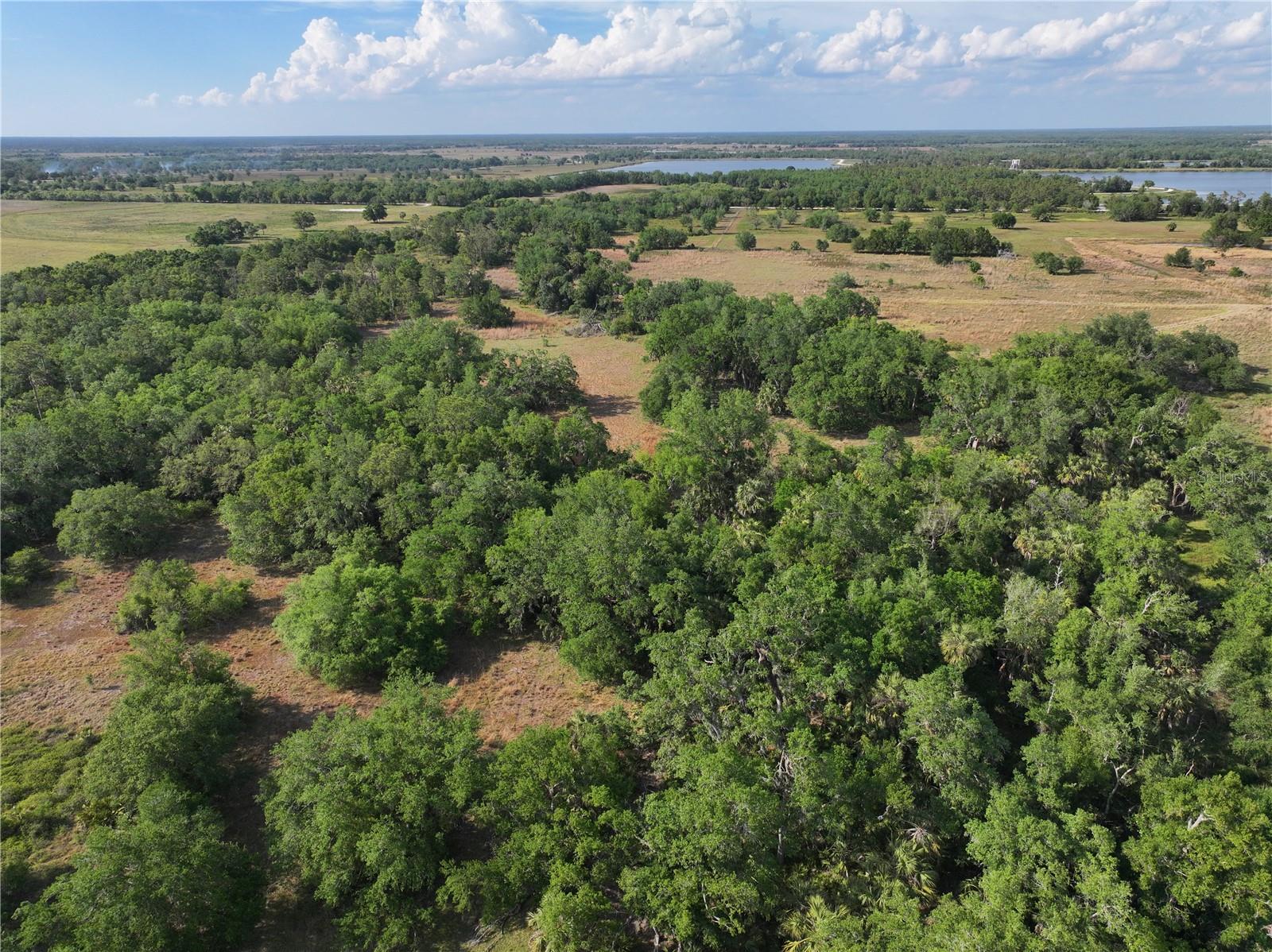7365 SW CR-769, ARCADIA, FL, 34269