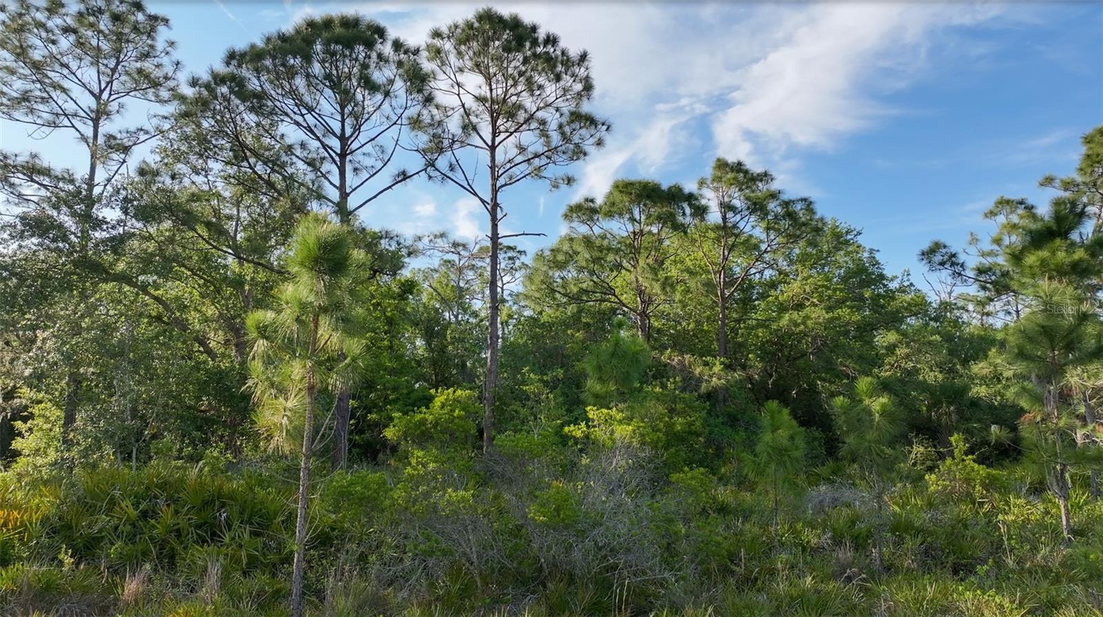 7365 SW CR-769, ARCADIA, FL, 34269