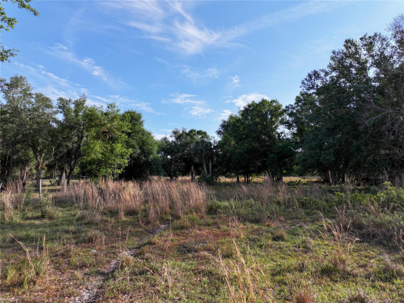 7365 SW CR-769, ARCADIA, FL, 34269