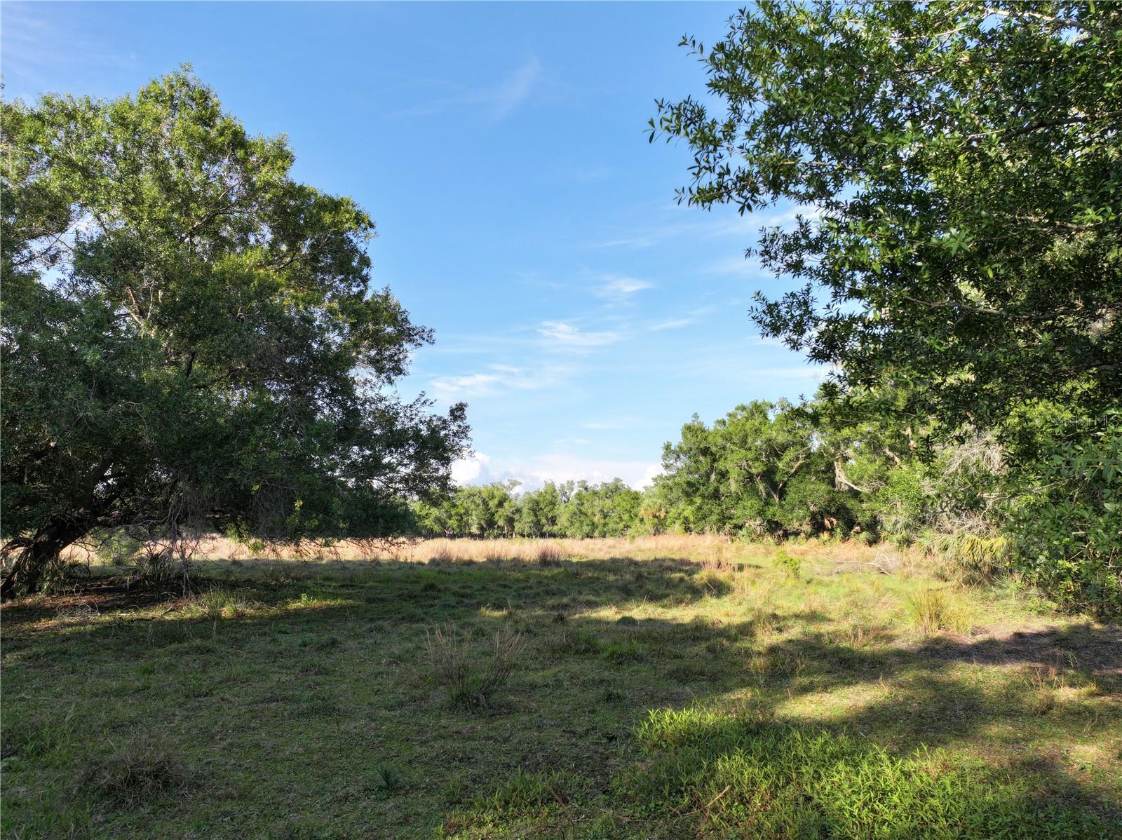 7365 SW CR-769, ARCADIA, FL, 34269