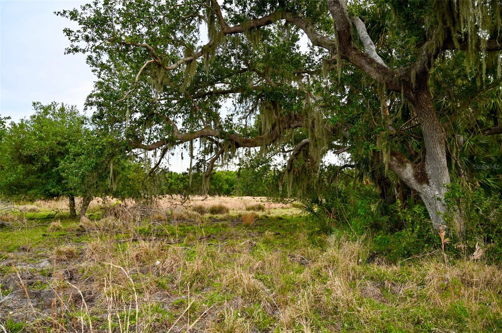 7365 SW CR-769, ARCADIA, FL, 34269