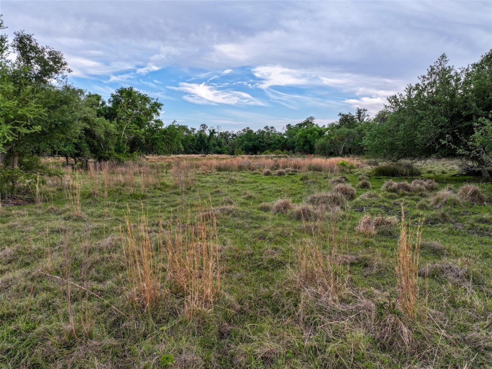 7365 SW CR-769, ARCADIA, FL, 34269