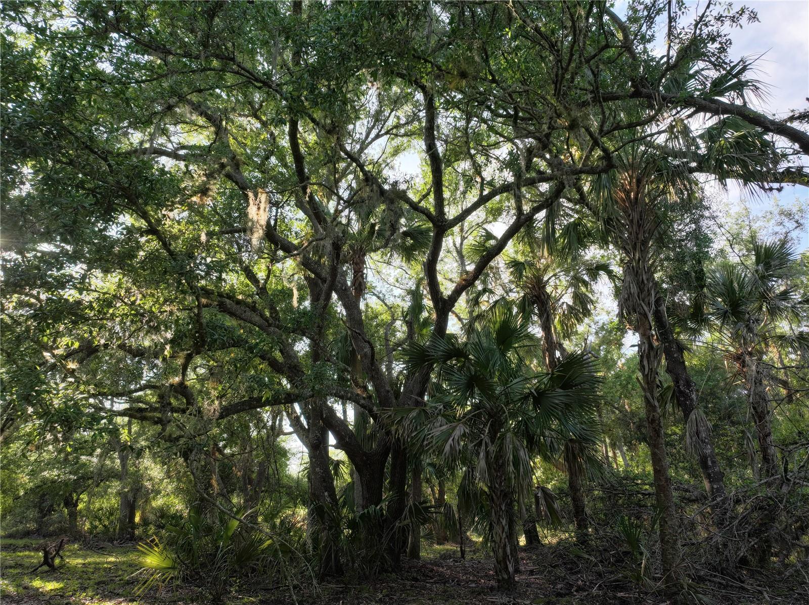 7365 SW CR-769, ARCADIA, FL, 34269