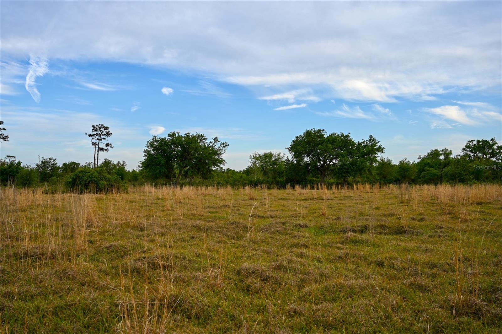 7365 SW CR-769, ARCADIA, FL, 34269