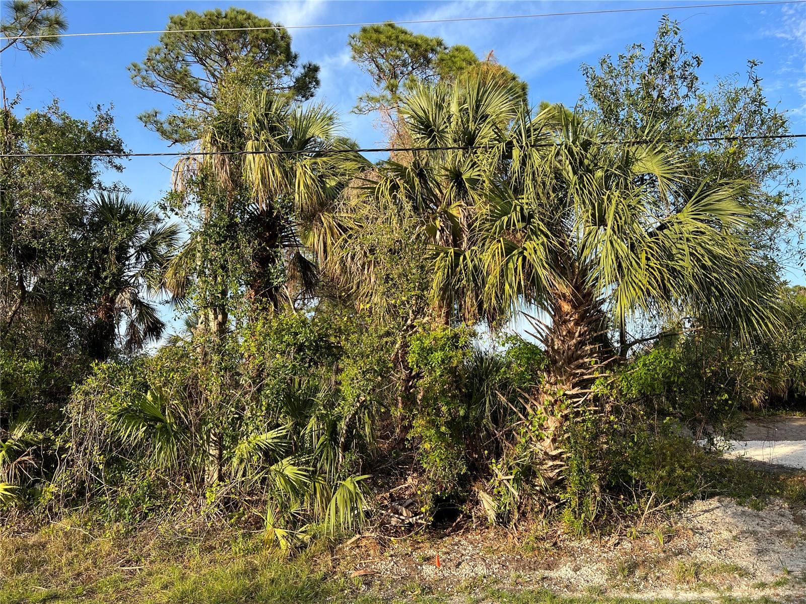 SPARKLE LN, NORTH PORT, FL, 34286