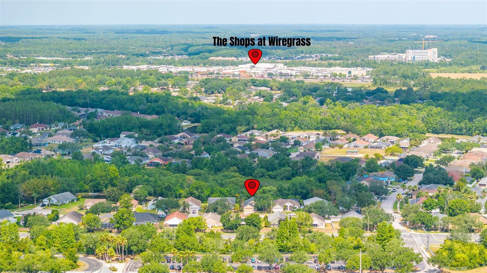 29013 OLD MARSH END, WESLEY CHAPEL, FL, 33543