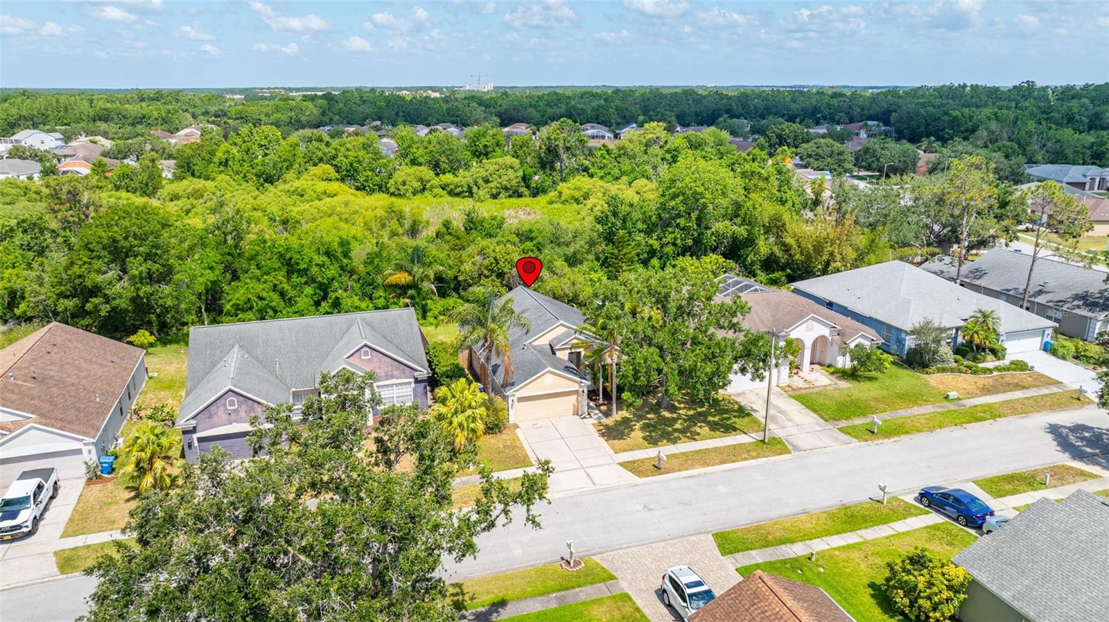 29013 OLD MARSH END, WESLEY CHAPEL, FL, 33543