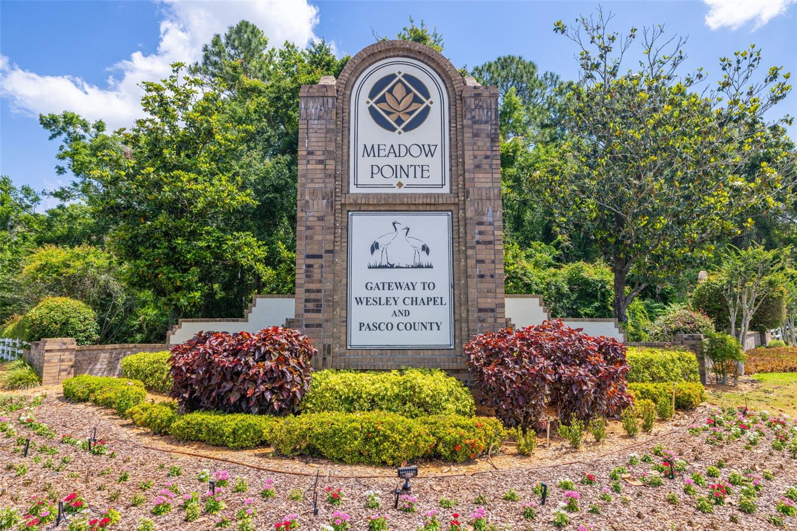 29013 OLD MARSH END, WESLEY CHAPEL, FL, 33543