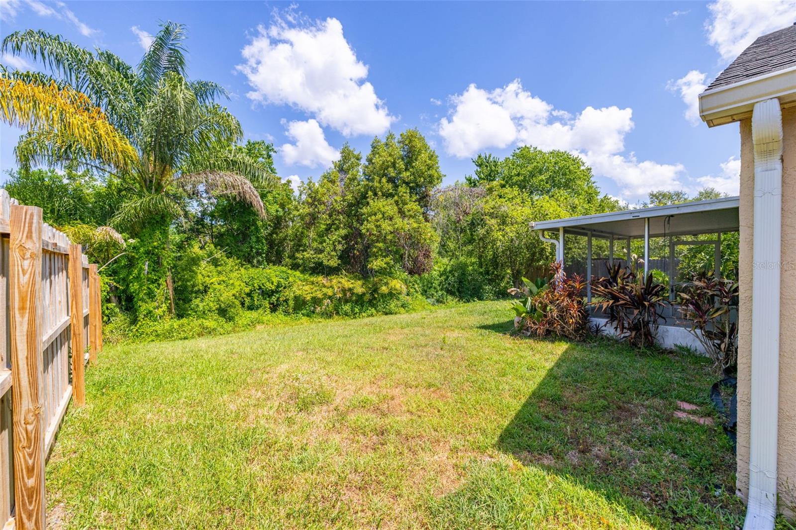 29013 OLD MARSH END, WESLEY CHAPEL, FL, 33543