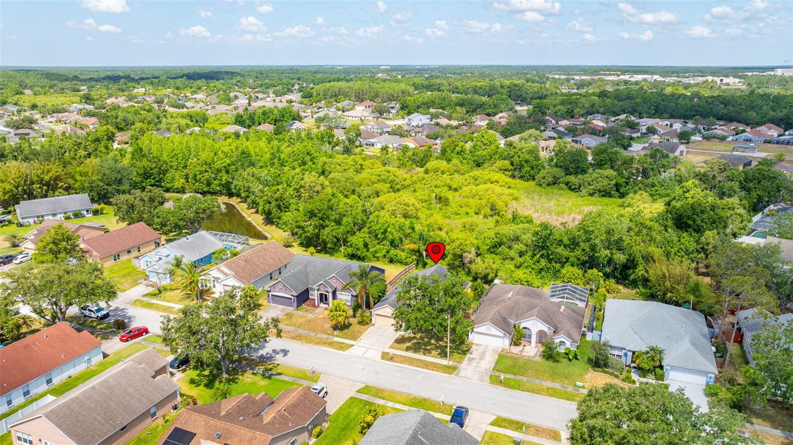 29013 OLD MARSH END, WESLEY CHAPEL, FL, 33543