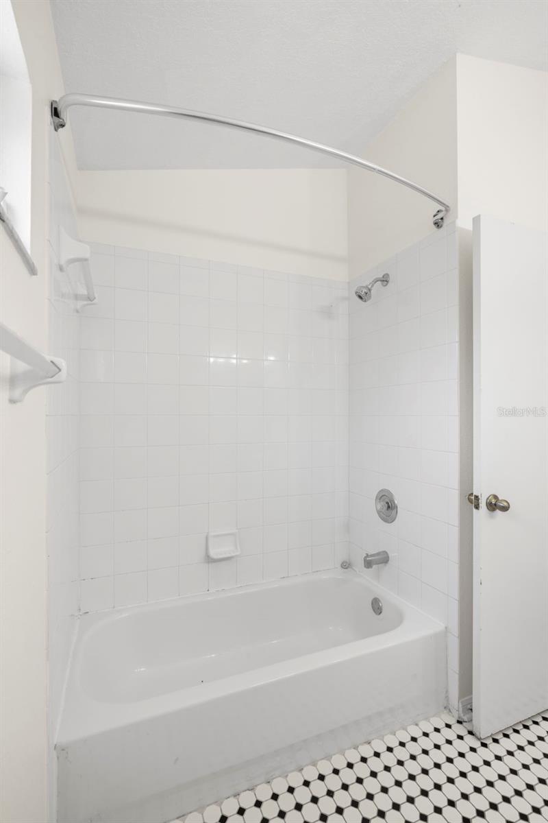 29013 OLD MARSH END, WESLEY CHAPEL, FL, 33543