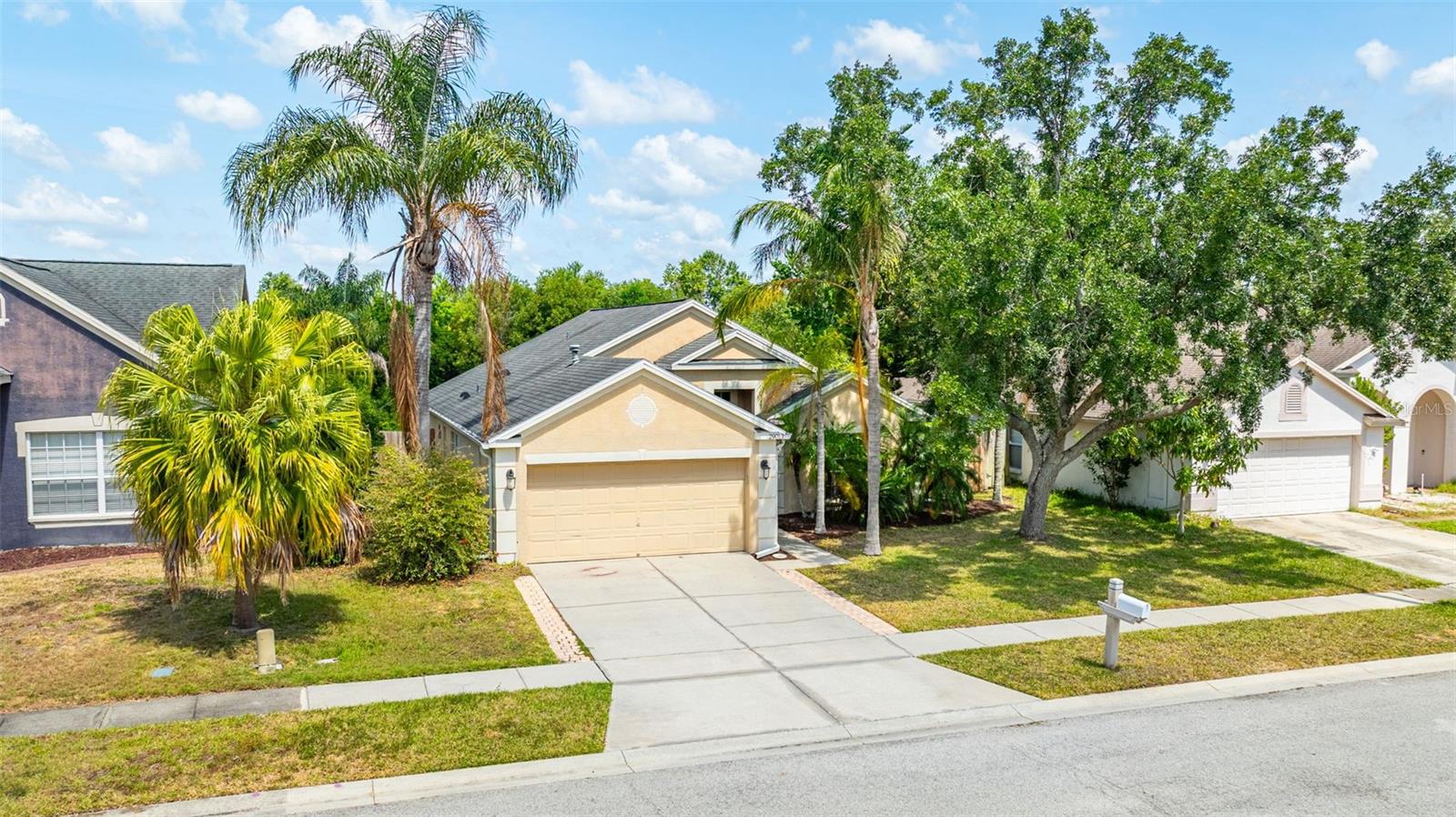 29013 OLD MARSH END, WESLEY CHAPEL, FL, 33543
