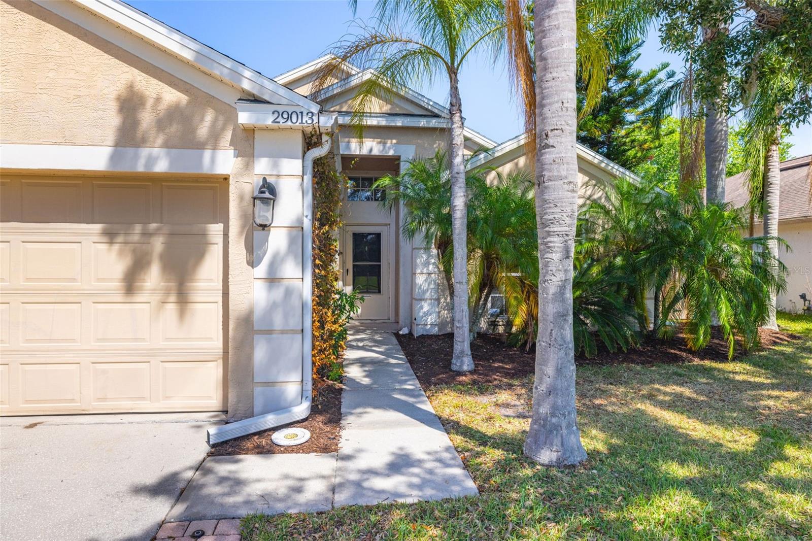 29013 OLD MARSH END, WESLEY CHAPEL, FL, 33543