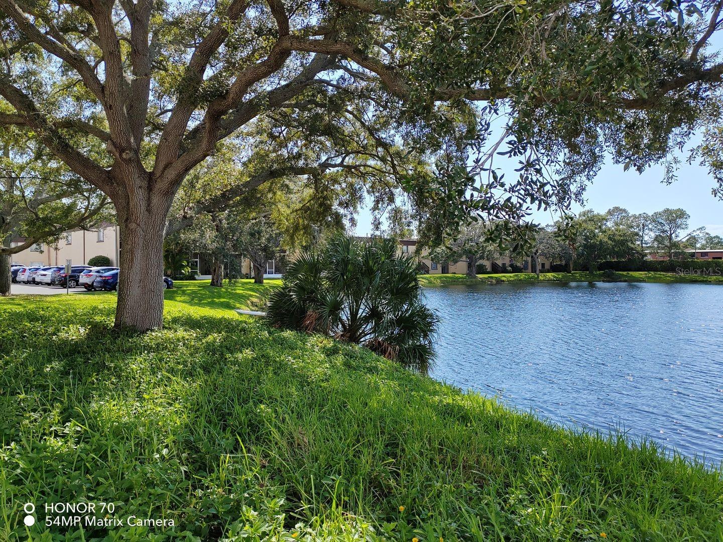 615 N KEENE RD #Q12, CLEARWATER, FL, 33755