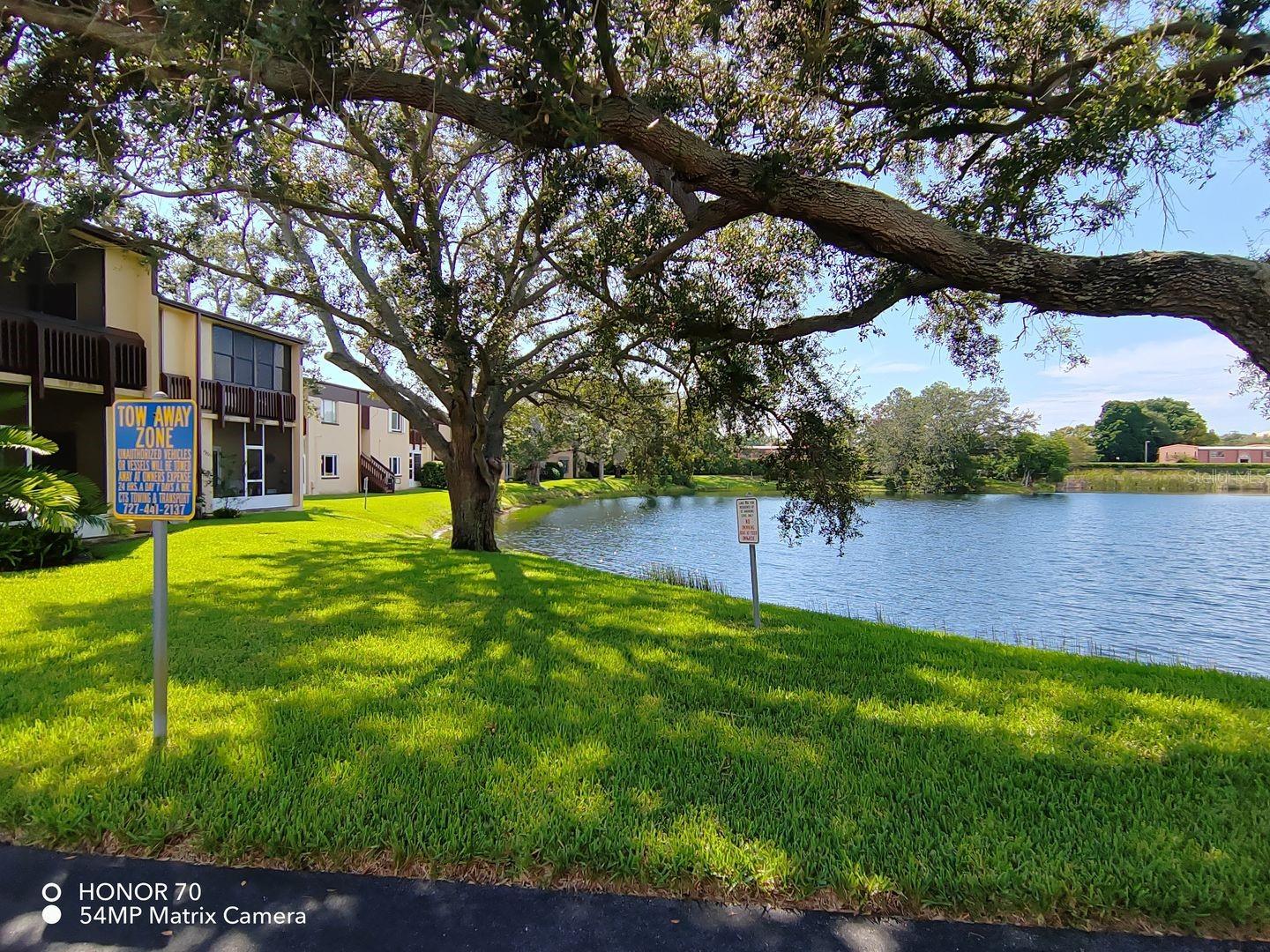 615 N KEENE RD #Q12, CLEARWATER, FL, 33755