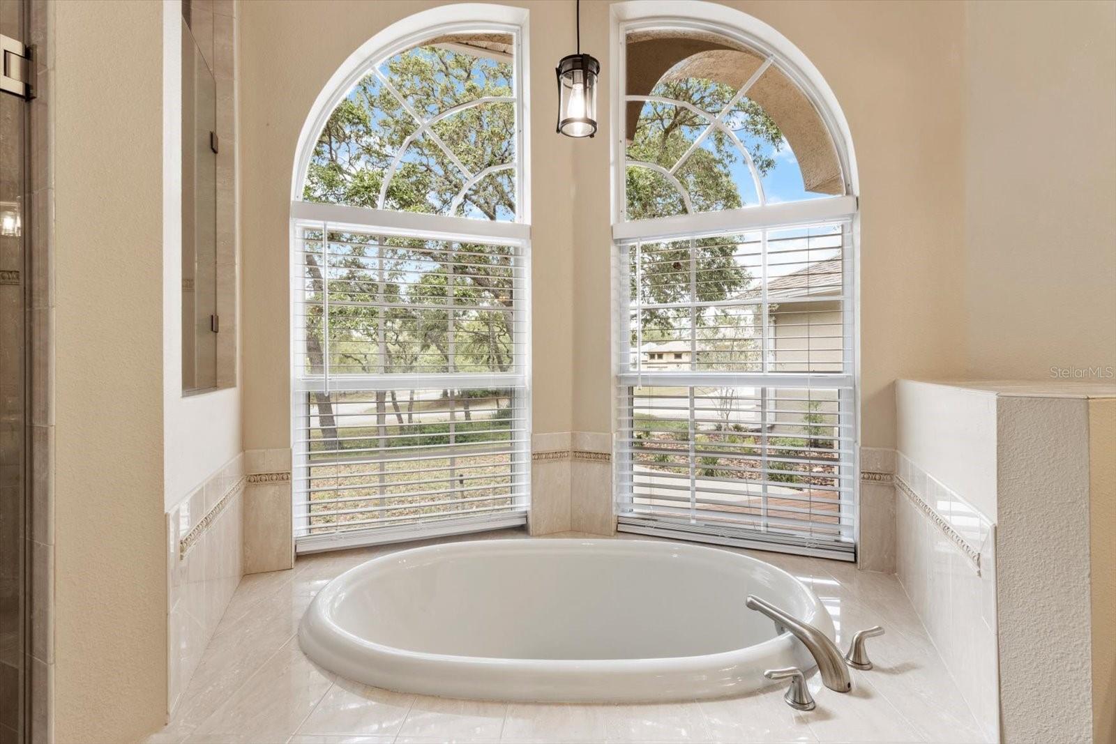 1 HACKBERRY CT S, HOMOSASSA, FL, 34446