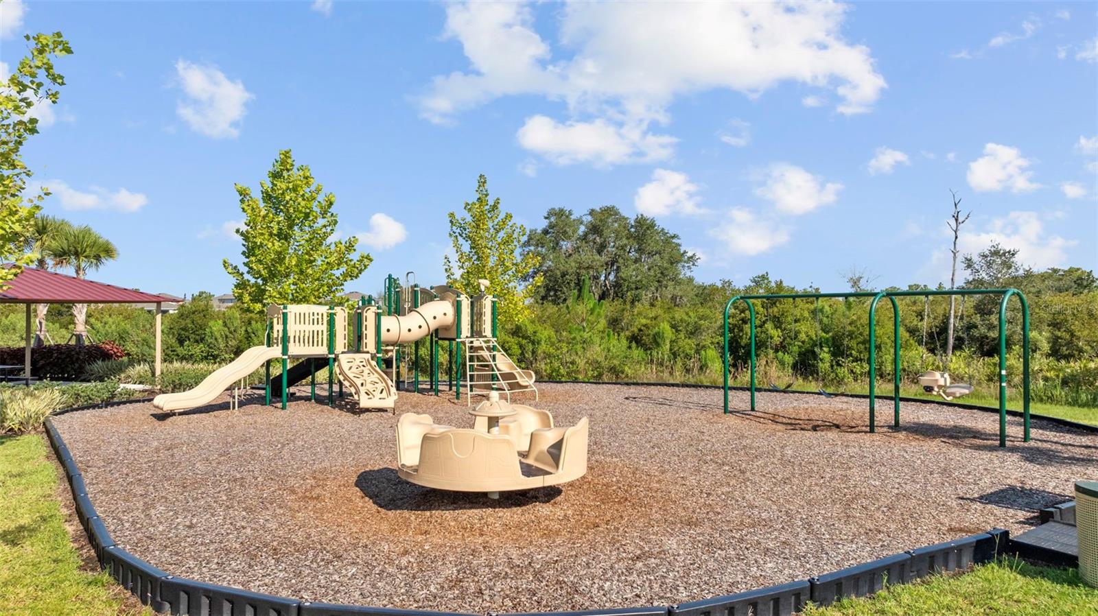 33645 ELM HILL BR, WESLEY CHAPEL, FL, 33545