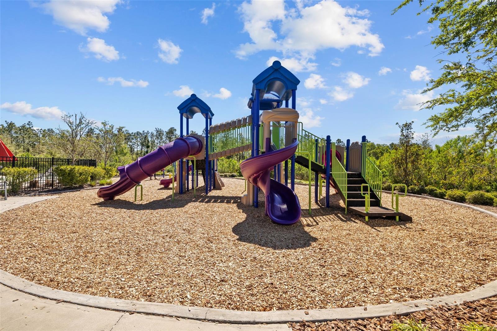 33645 ELM HILL BR, WESLEY CHAPEL, FL, 33545