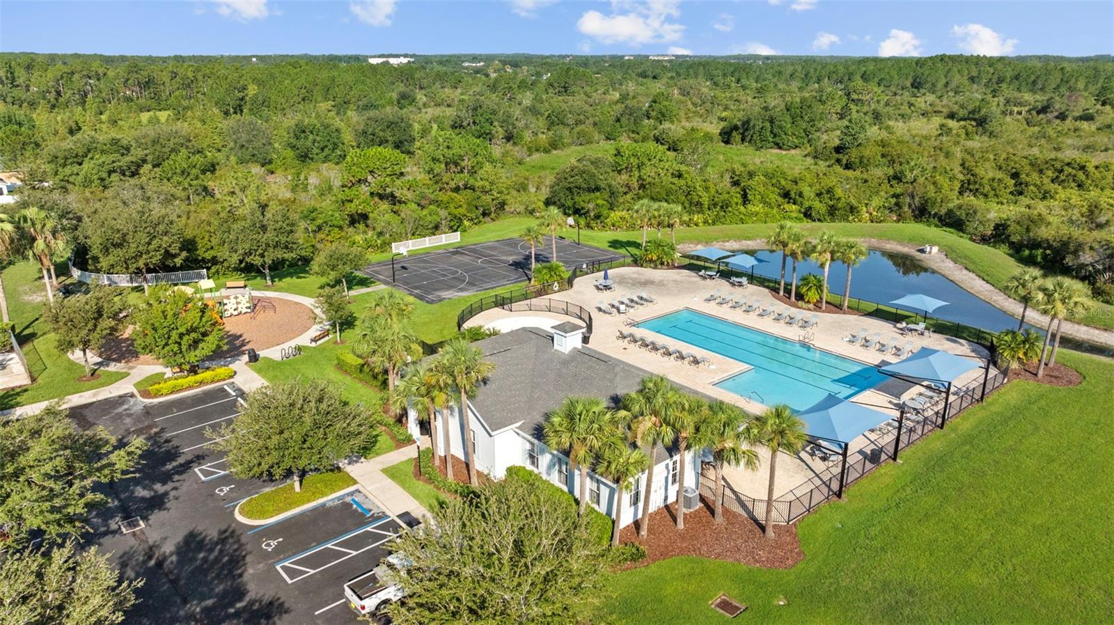 33645 ELM HILL BR, WESLEY CHAPEL, FL, 33545