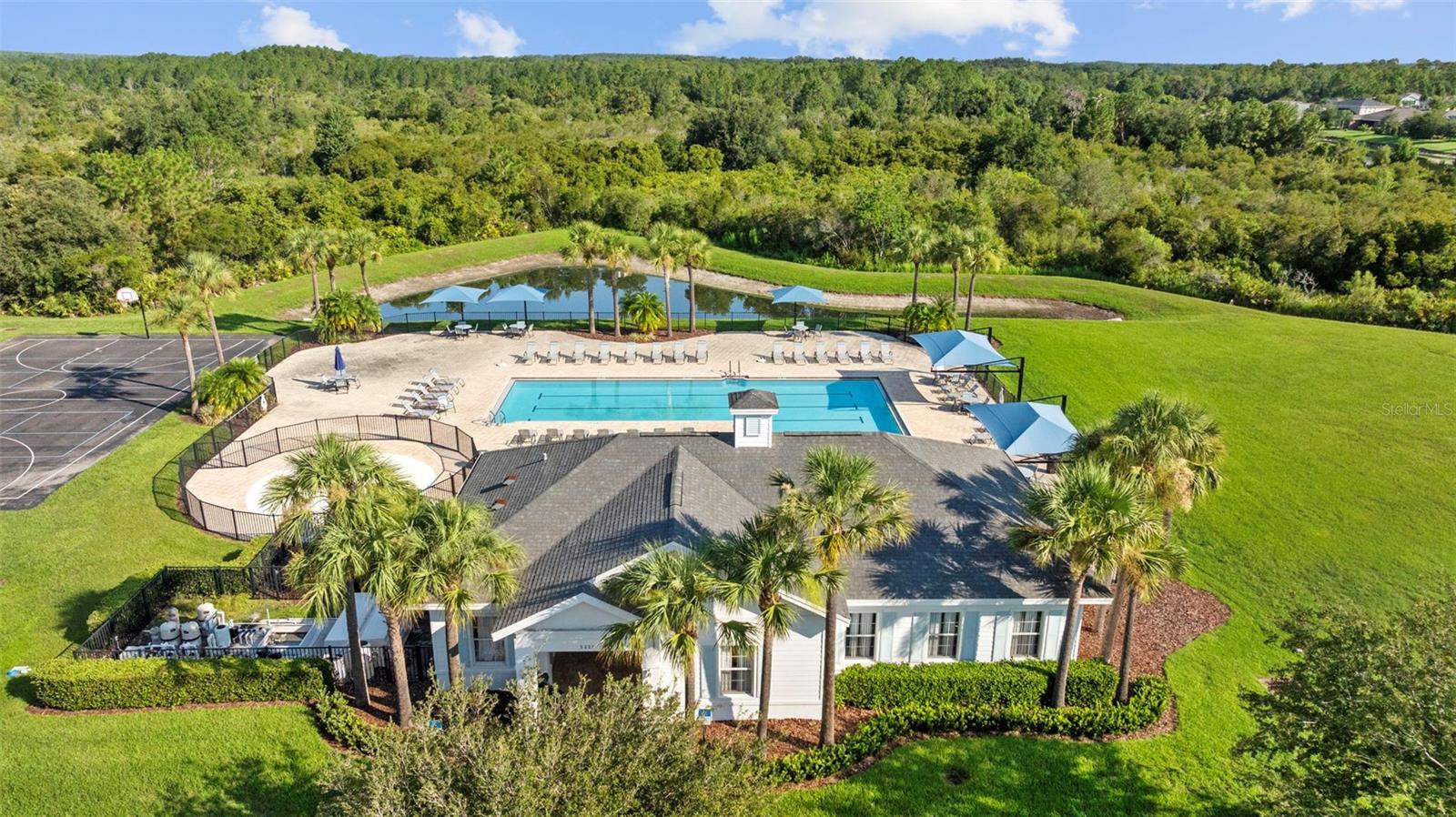 33645 ELM HILL BR, WESLEY CHAPEL, FL, 33545