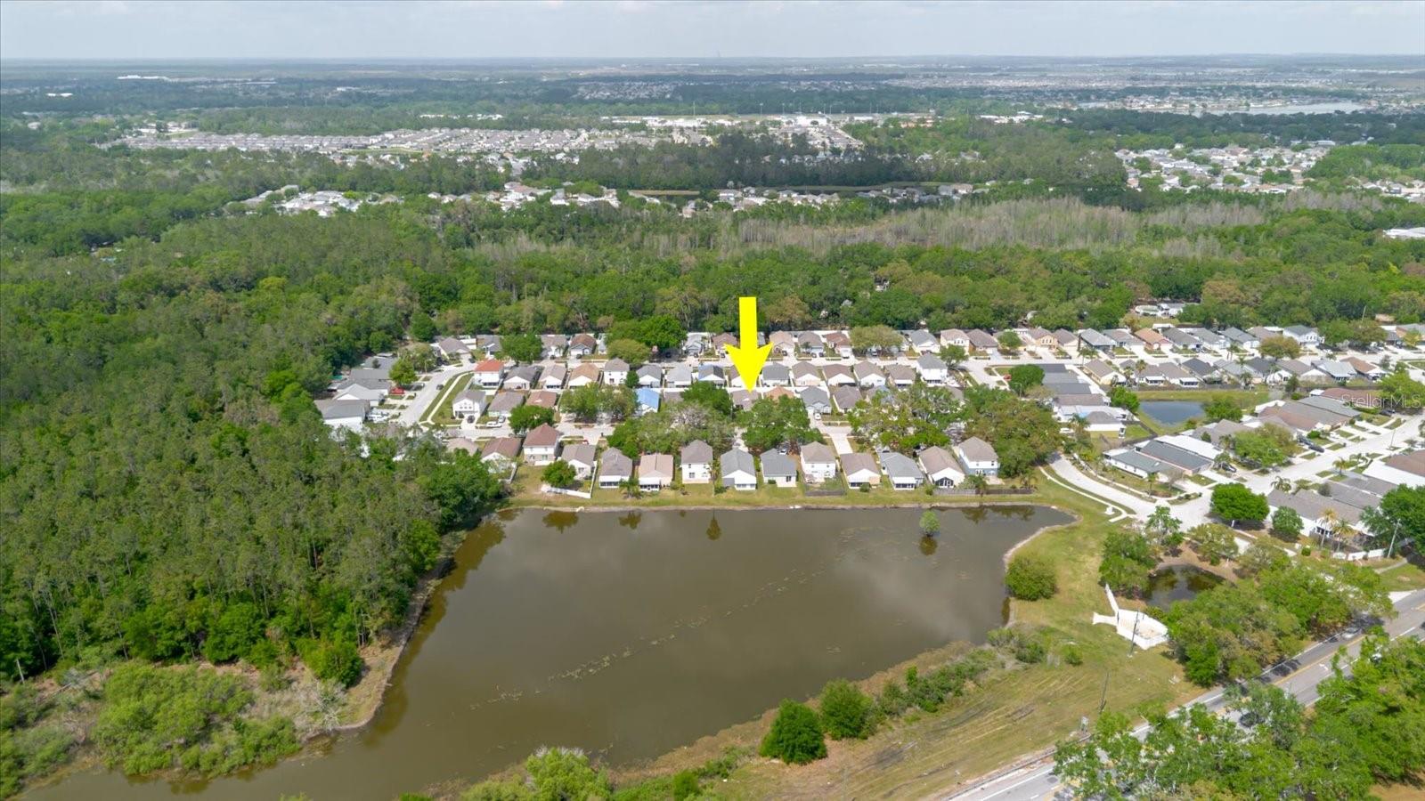 30225 DOUBLE DR, WESLEY CHAPEL, FL, 33545