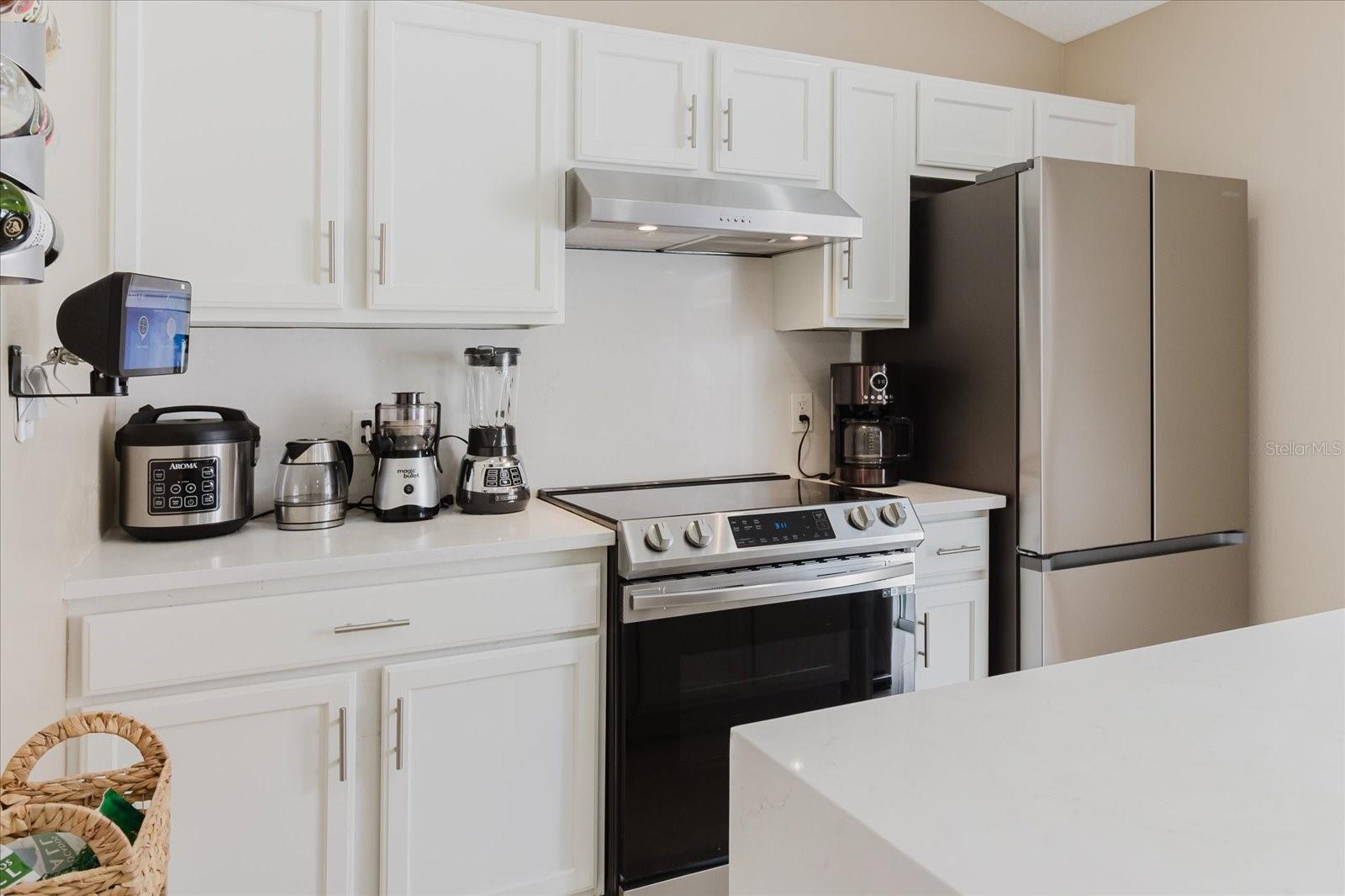 30225 DOUBLE DR, WESLEY CHAPEL, FL, 33545