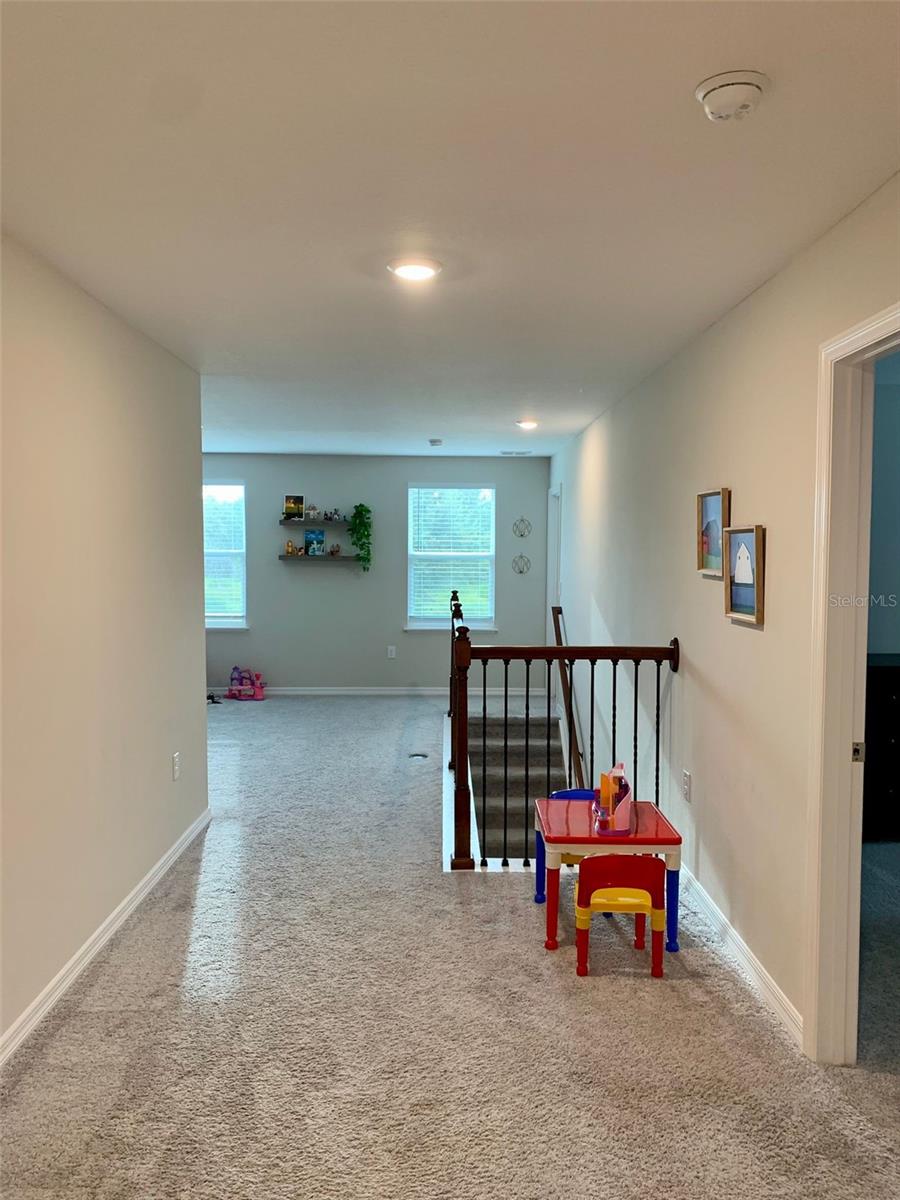 7884 ABBY BROOKS CIR, WESLEY CHAPEL, FL, 33545